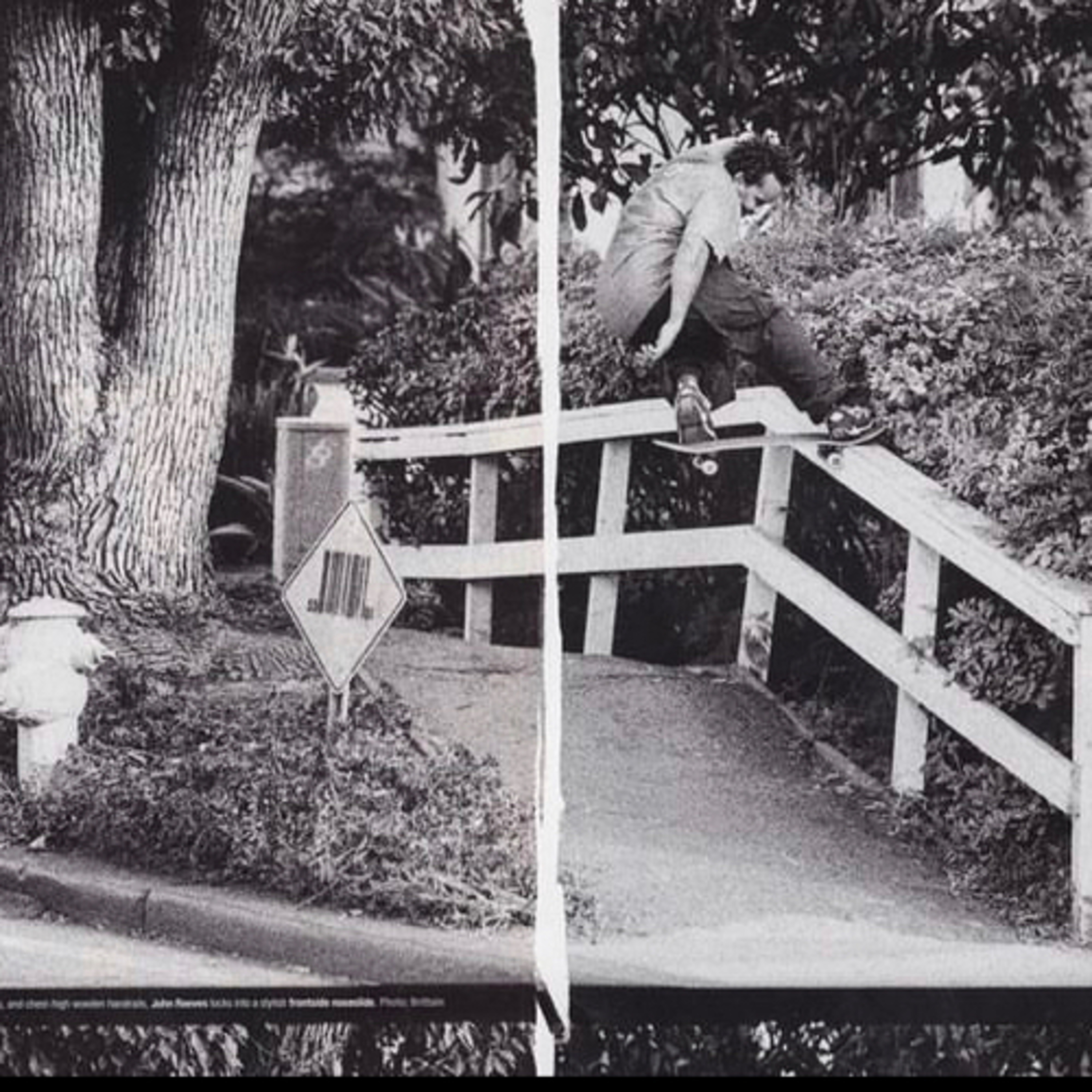 WCRP on Skateboarding