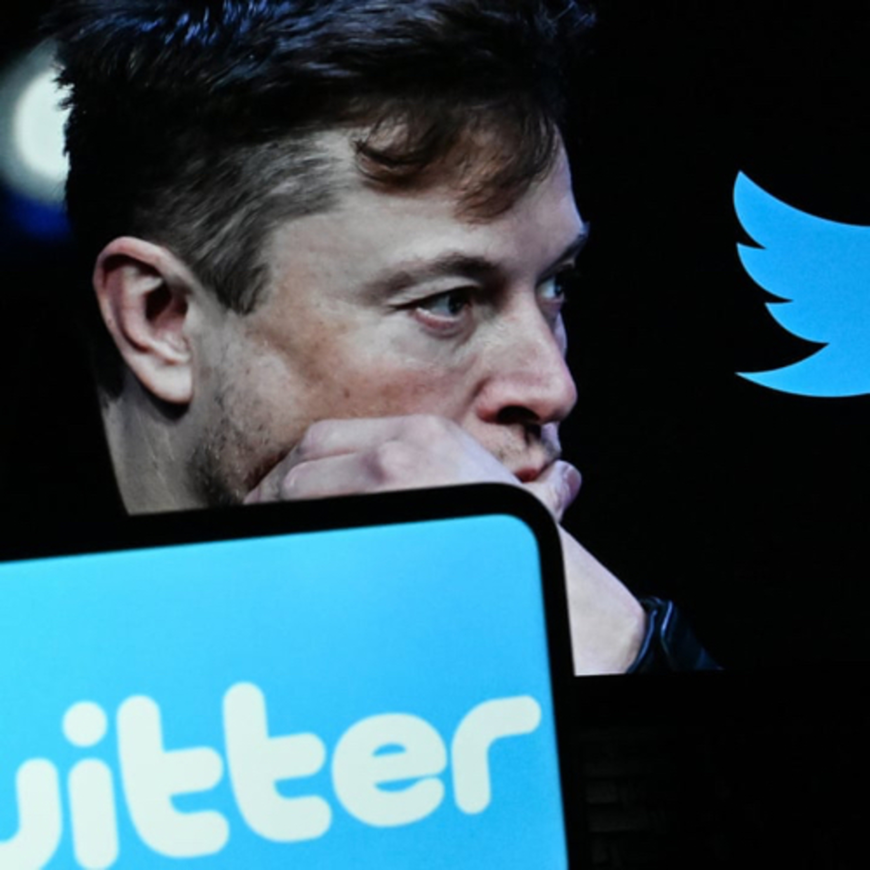 Elon Musk Changes Twitter’s Logo episode artwork