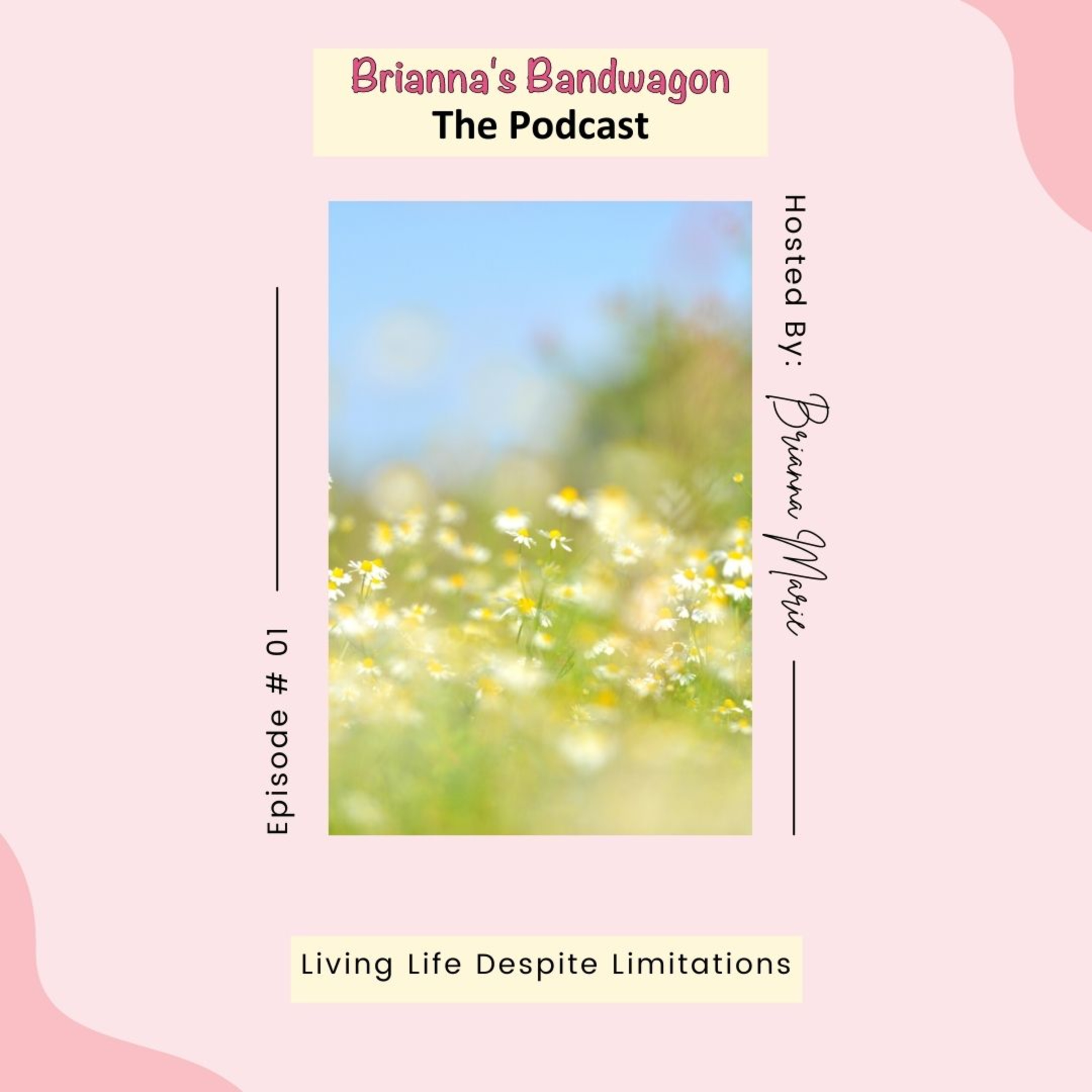 Brianna’s Bandwagon : The Podcast