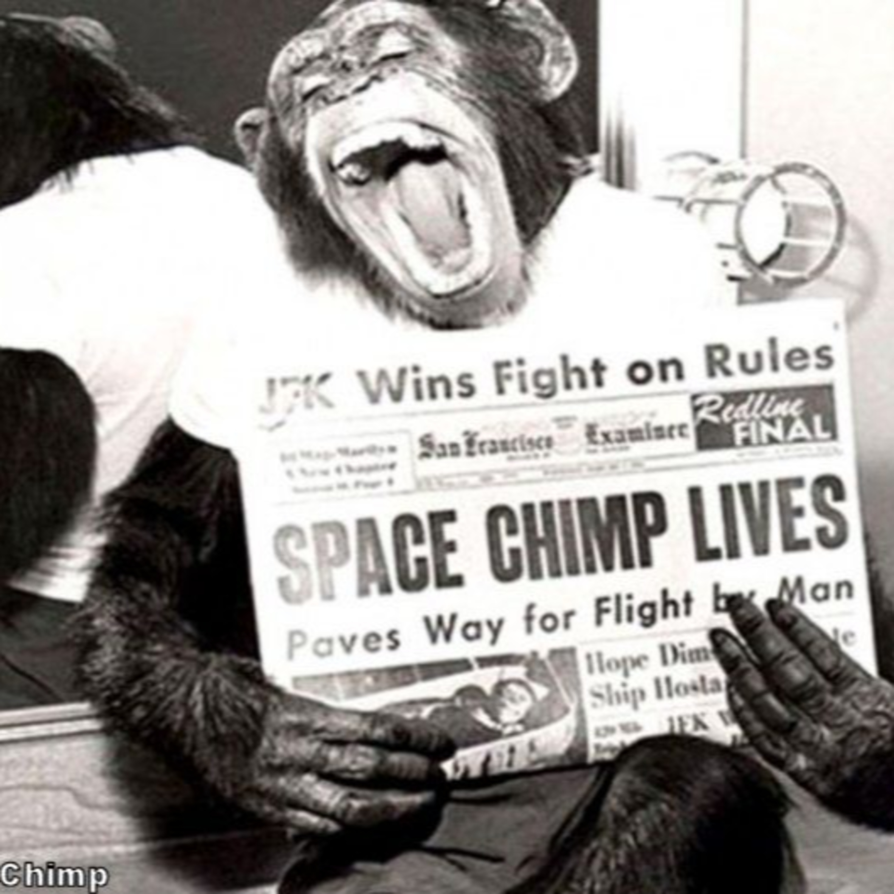 What is the story of HAM, his connection to Alamogordo New Mexico and how did he become one of the most famous chimps in history? – 2nd Life Media Alamogordo Town News Celebrating The Positives of Ala episode artwork
