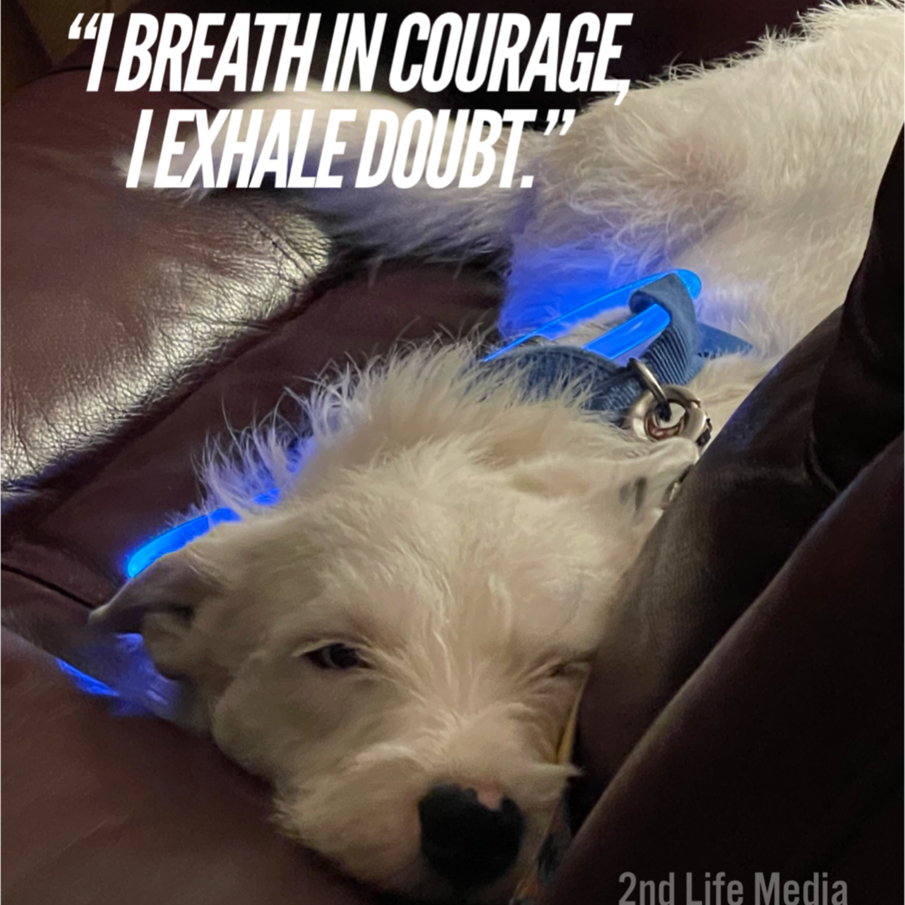 28 Days a Habit, 90 Days a Behavior Todays Affirmation I BREATH IN COURAGE, I EXHALE DOUBT." episode artwork