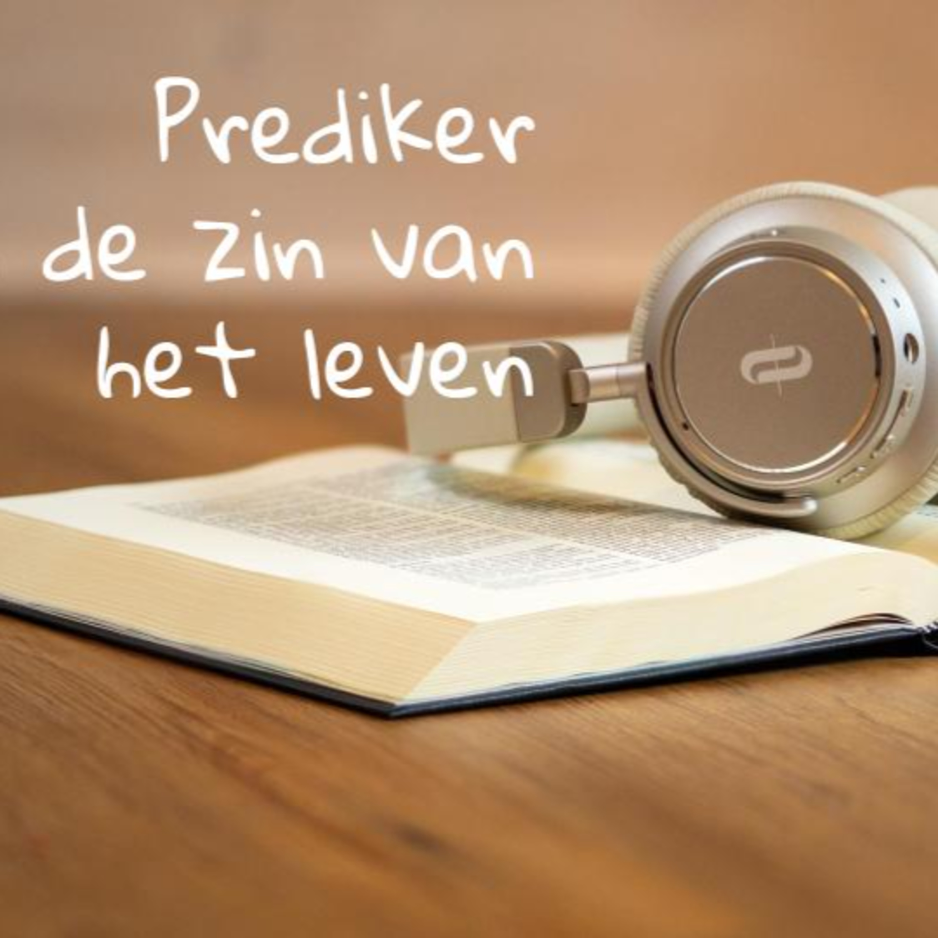 Evangelische Kerk de Burg