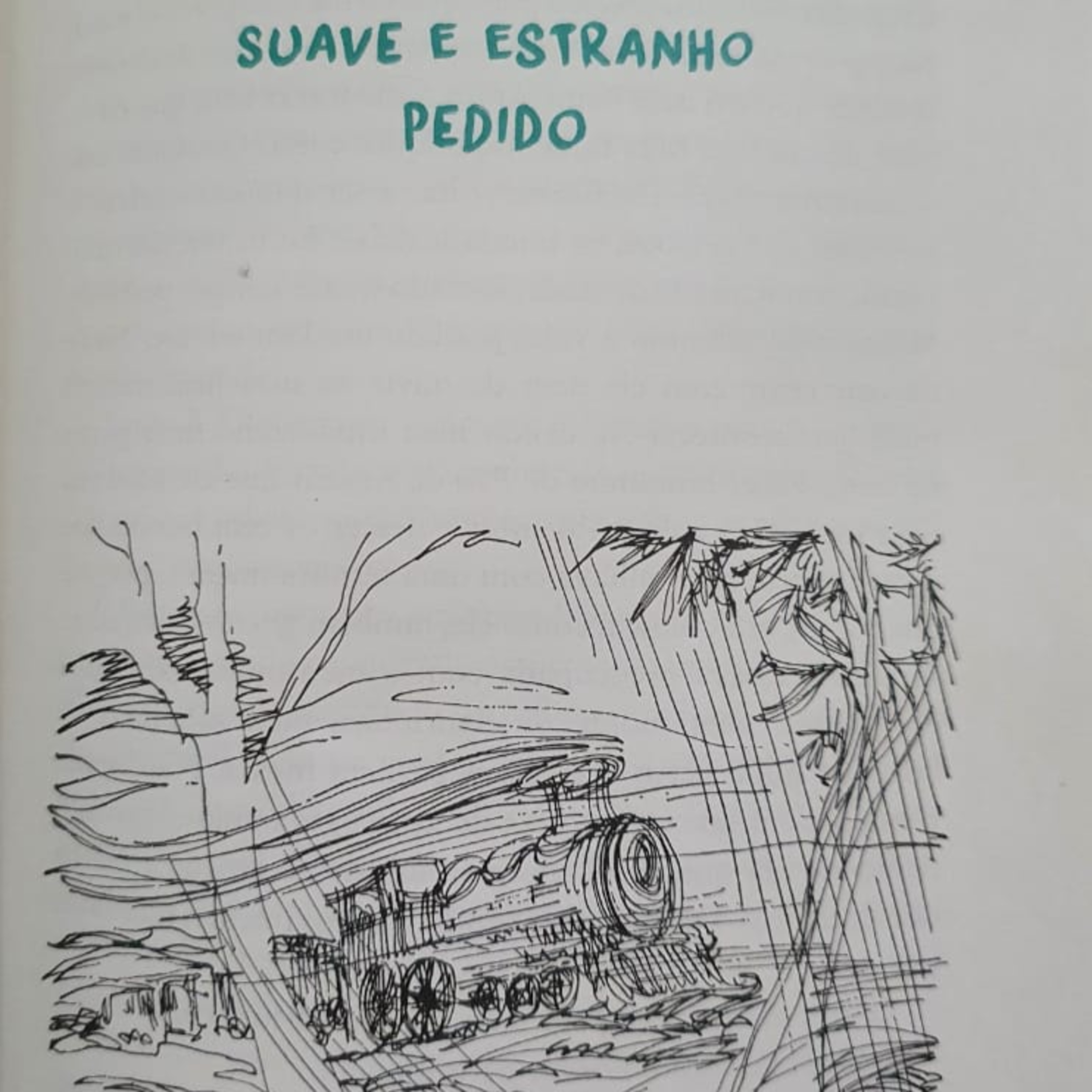 O meu pé de laranja lima