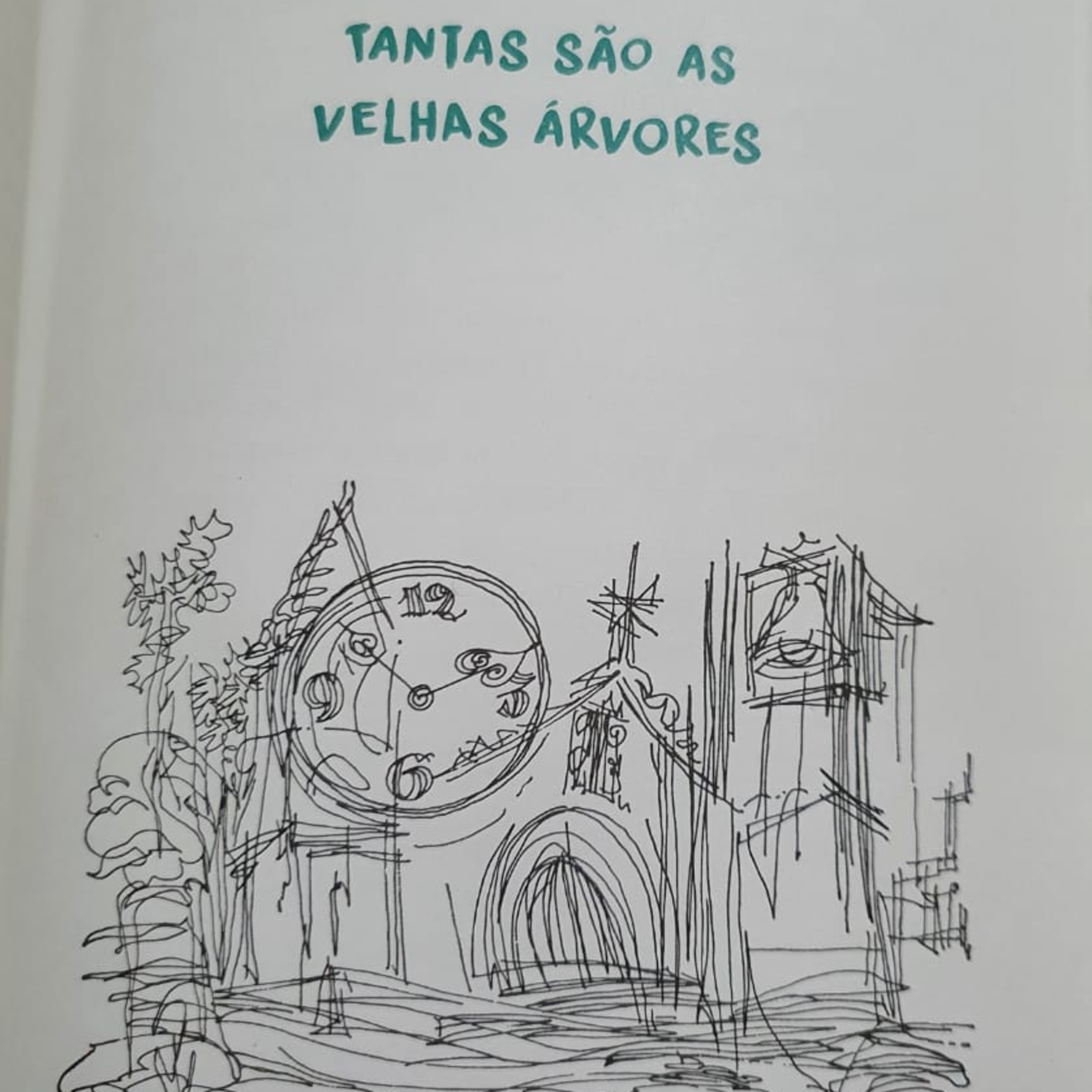 O meu pé de laranja lima