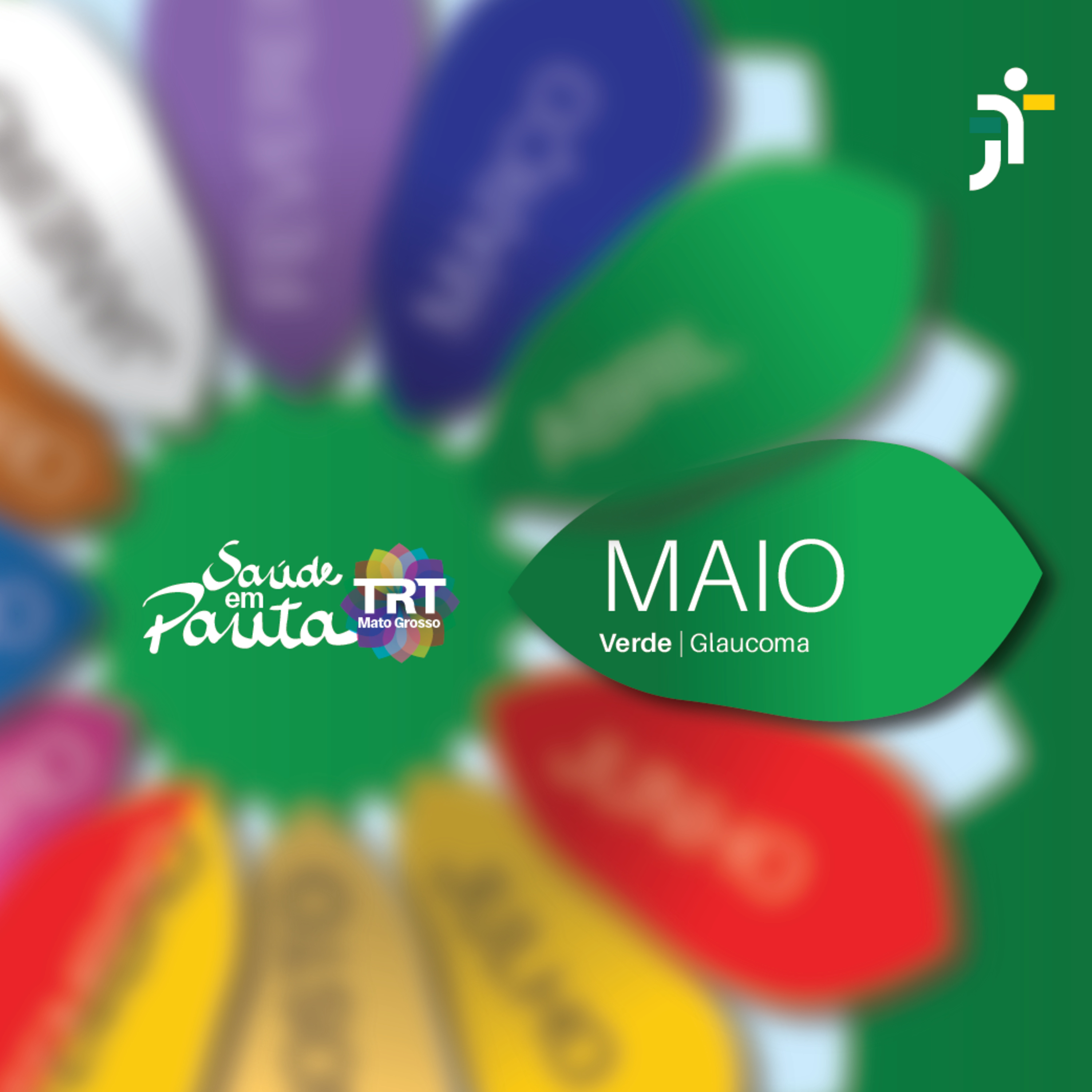 Saúde em Pauta