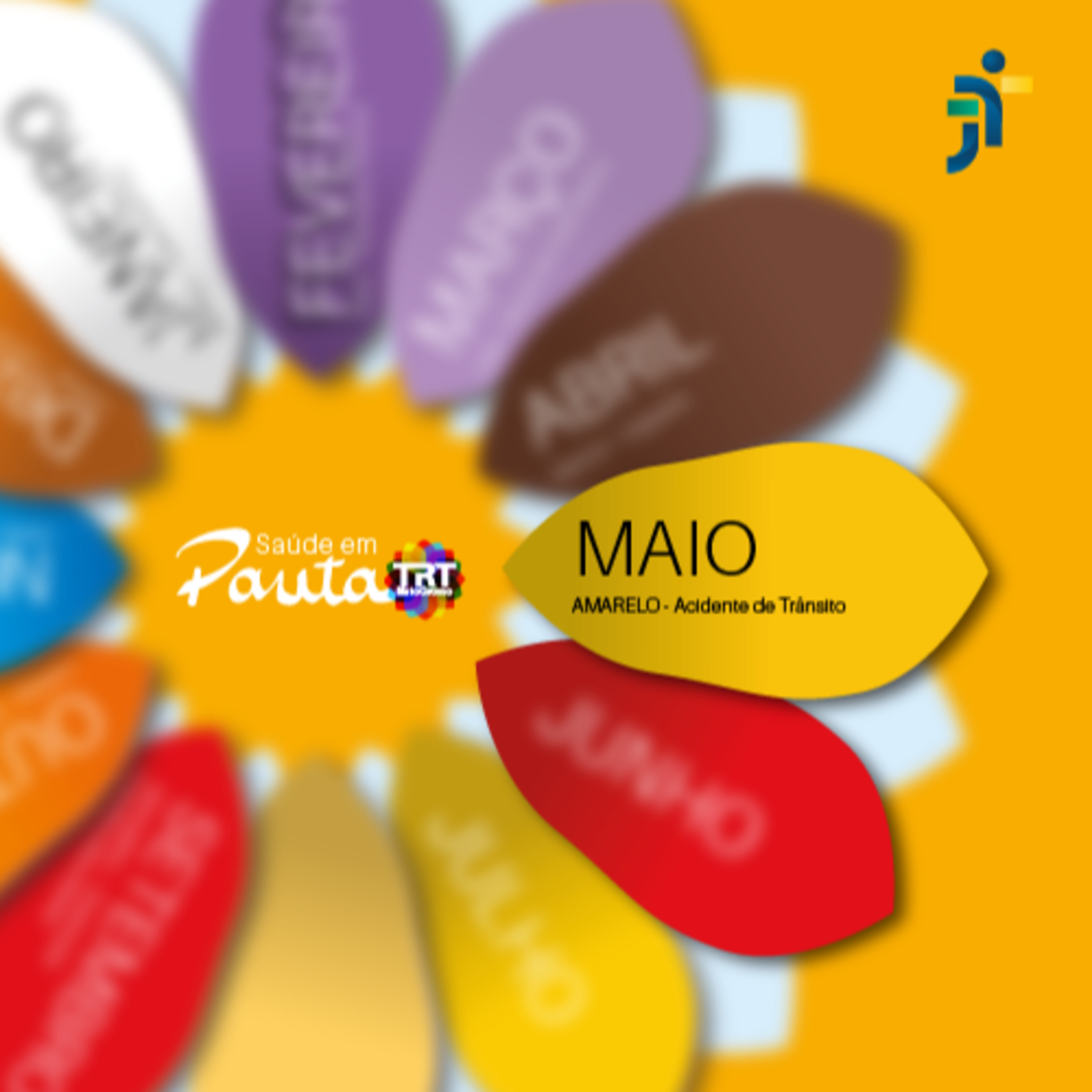 Saúde em Pauta