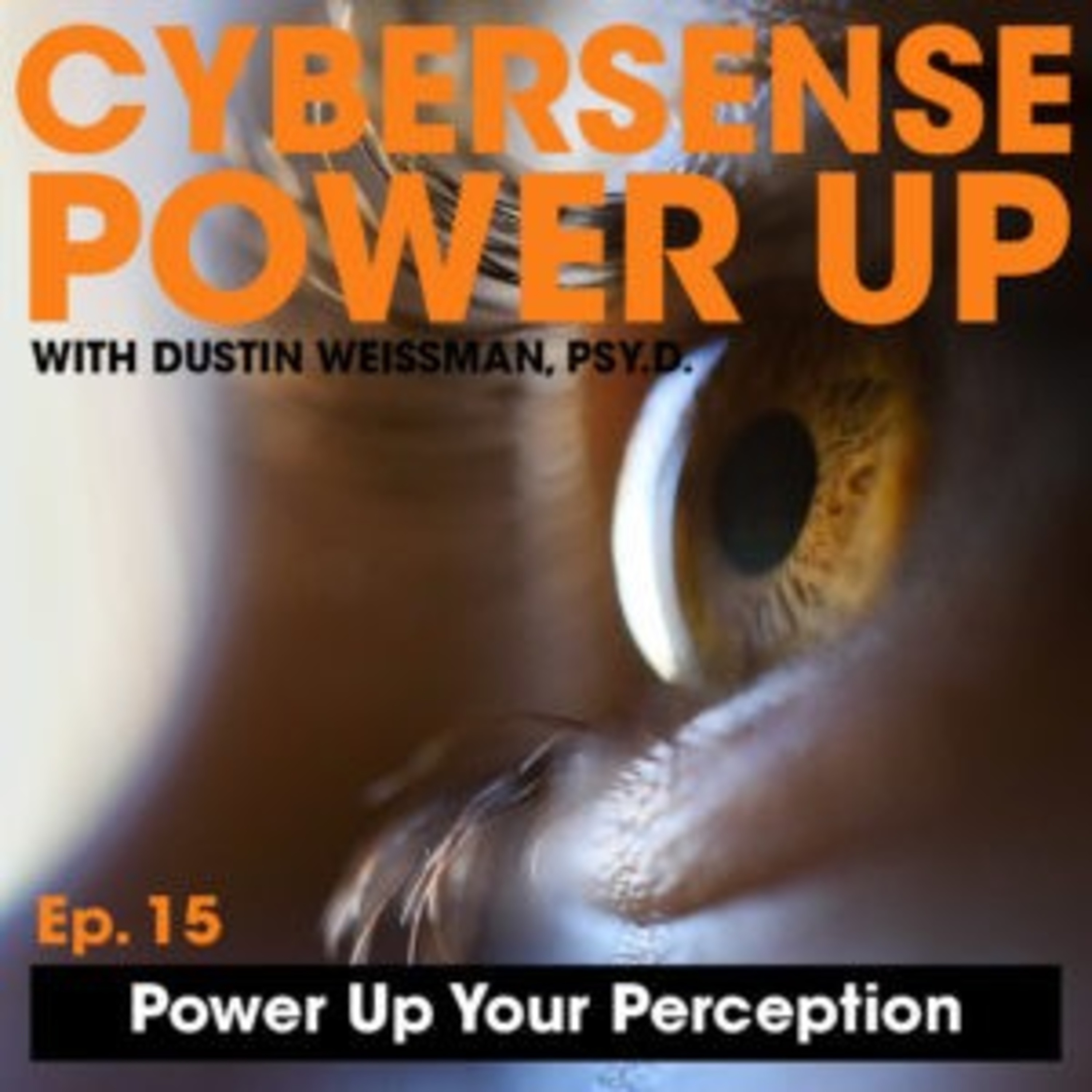 CyberSense Power Up Podcast