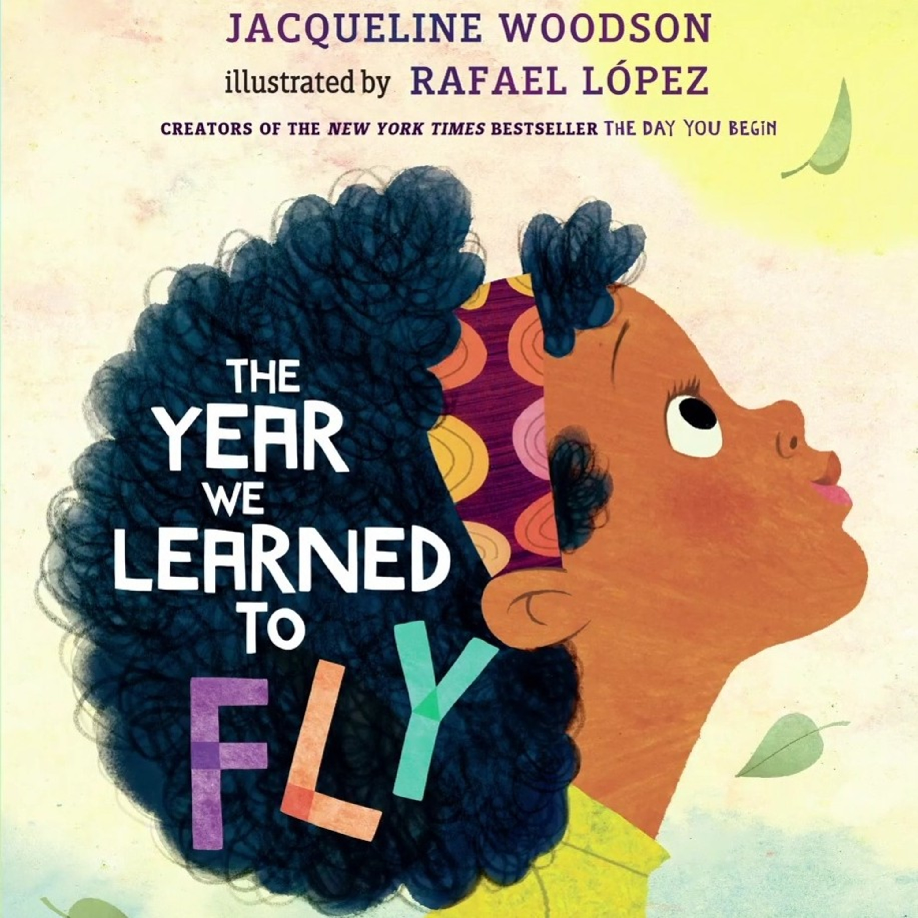 کاور The year we learned to fly
