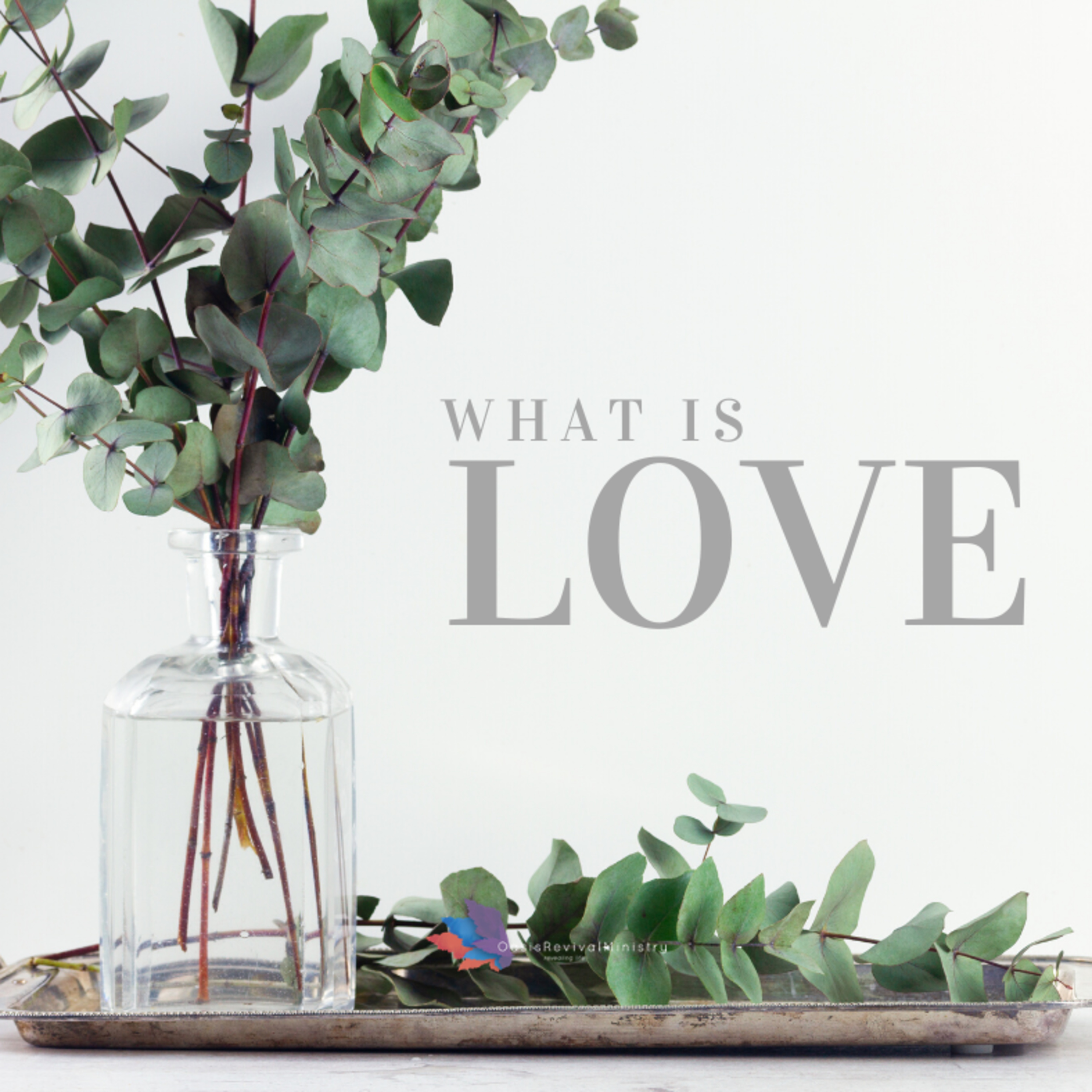What is LOVE?  episode artwork