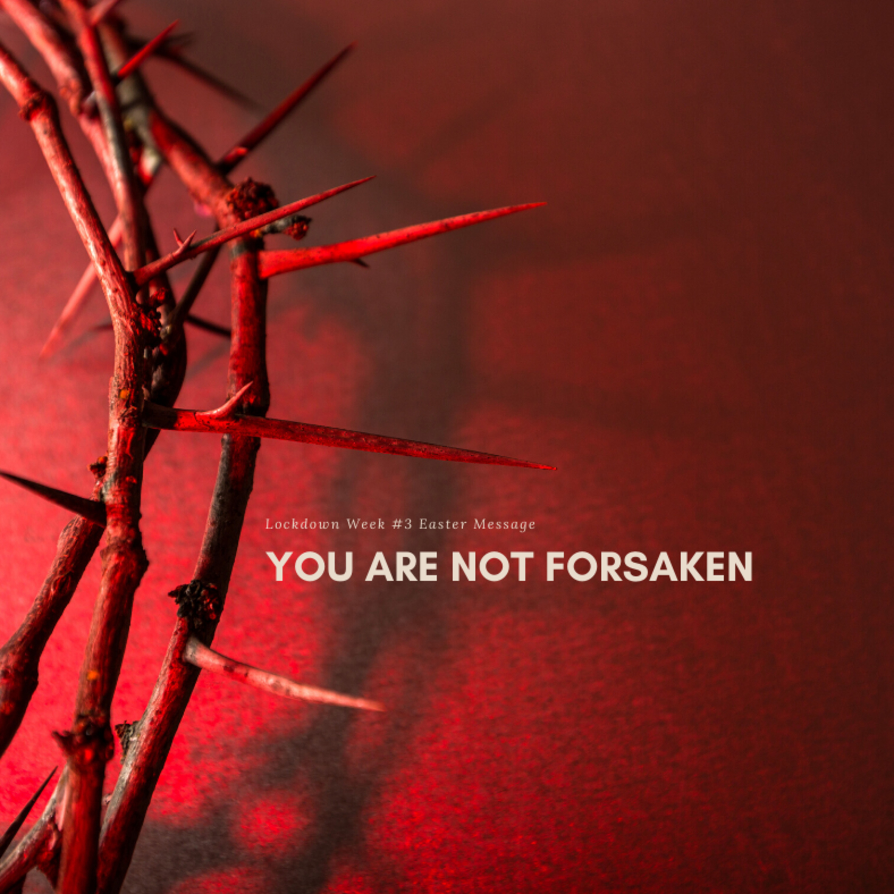 April 5 2020 | Sunday Service | Lockdown Recording - You Are Not Forsaken episode artwork