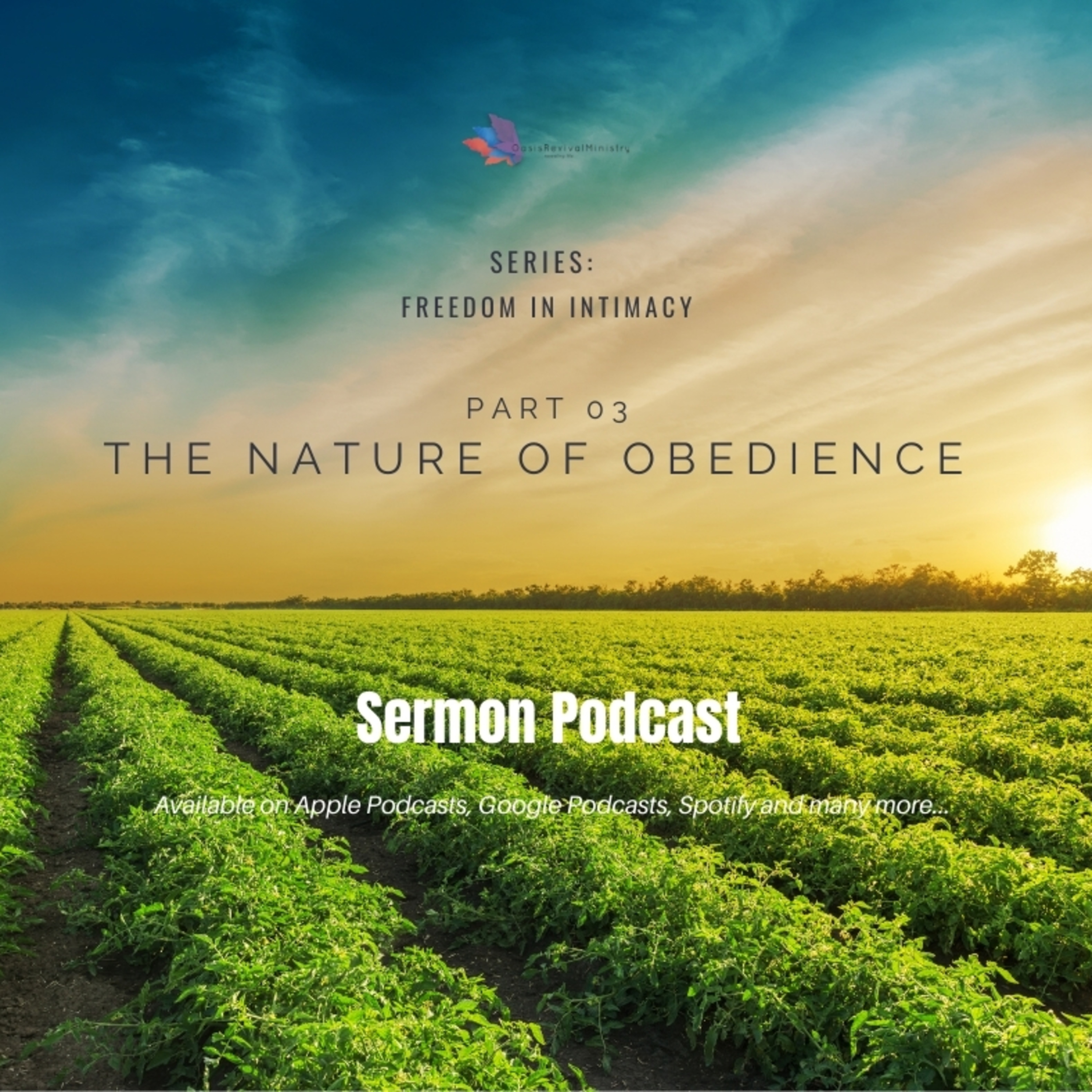 Sunday's Message | The Nature of Obedience | May 16 2021 episode artwork