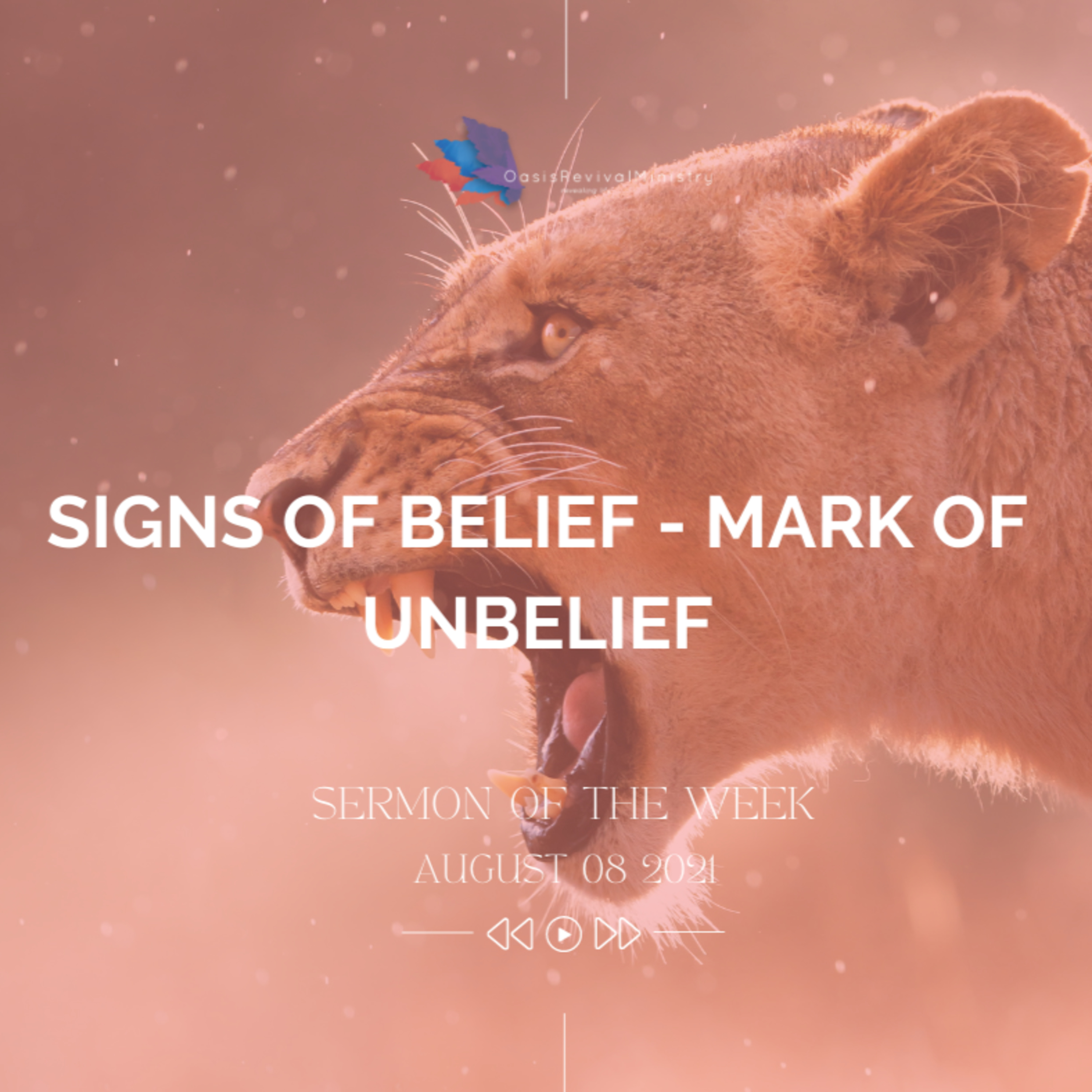 Sermon of the Week | Signs of Belief - Mark of Unbelief | August 08 2021 episode artwork