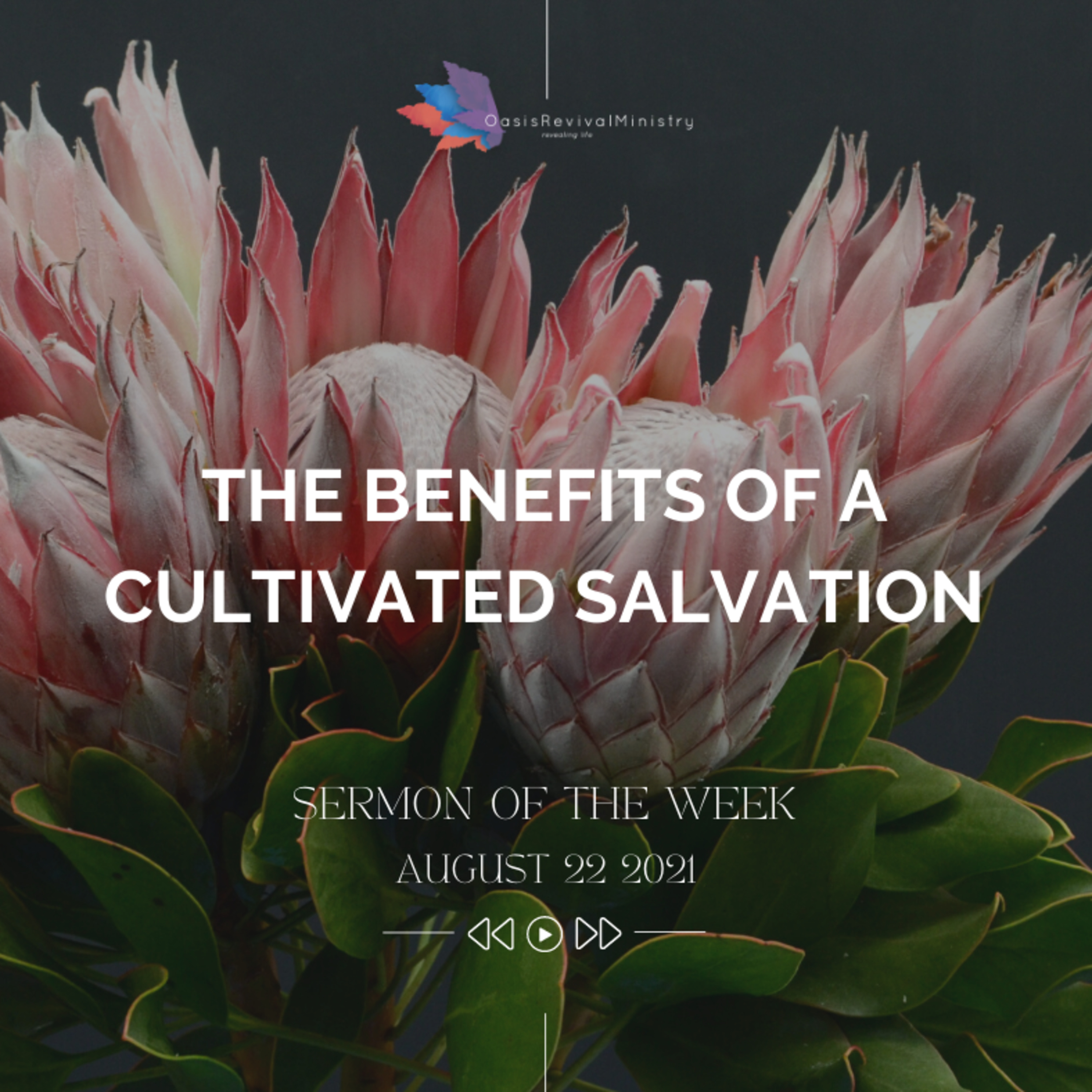 Sermon of the Week | Benefits of a Cultivated Salvation | August 22 2021 episode artwork