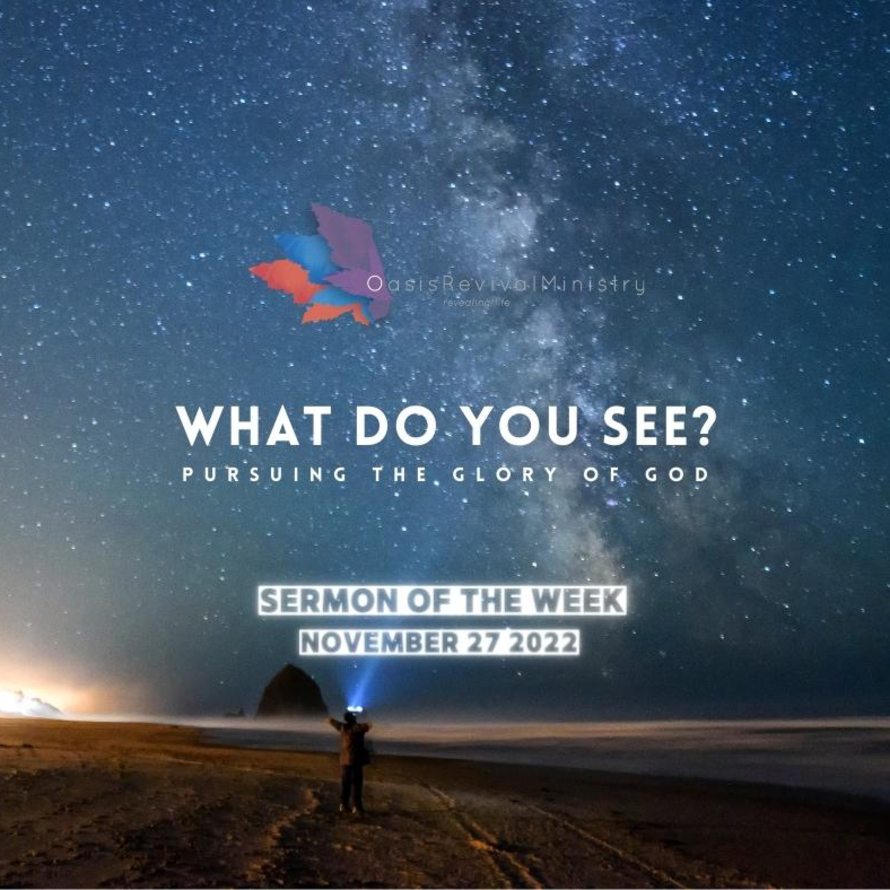 Daniel McGeer | What do You See? | November 27 2022 episode artwork