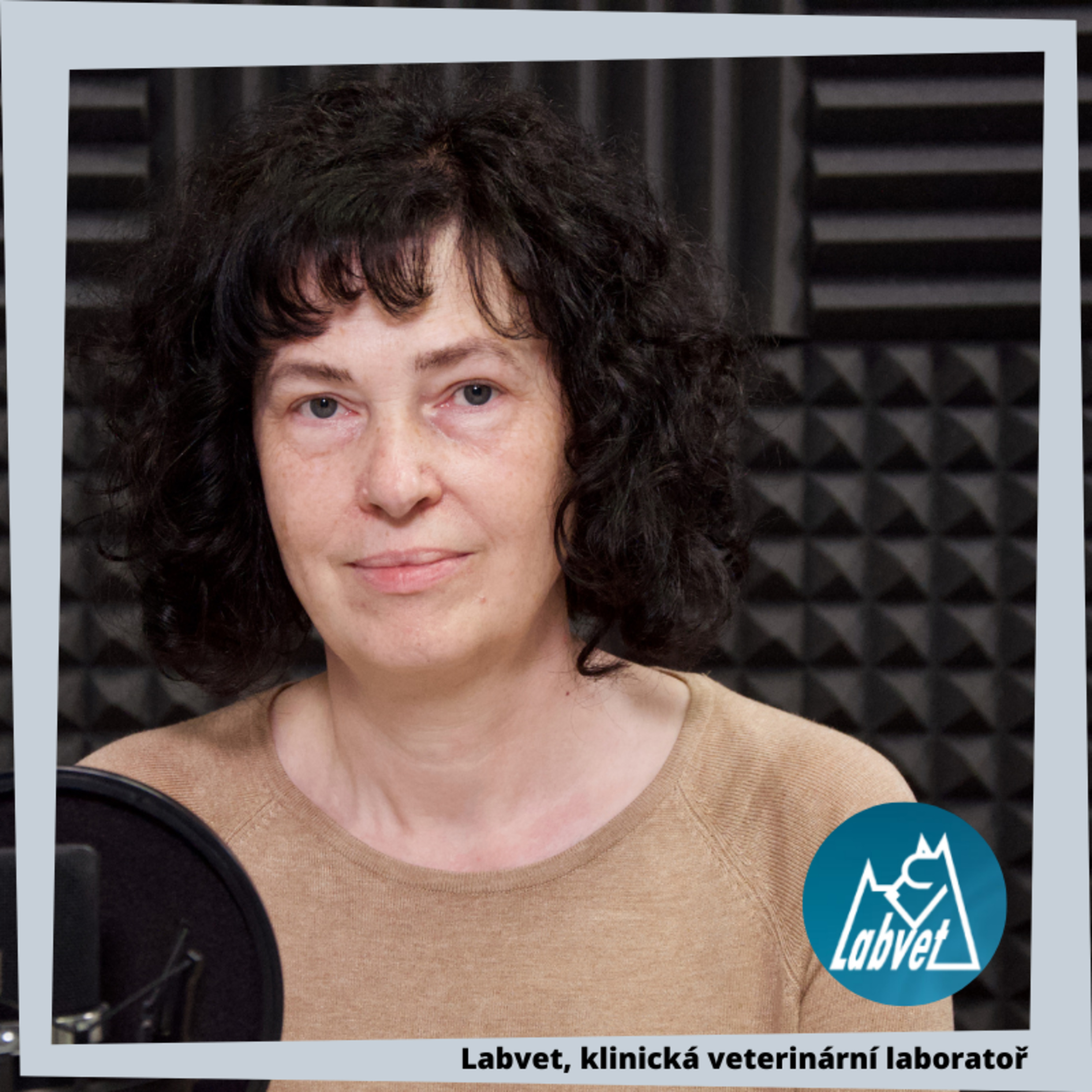 LABVET PODCAST, pro pejskaře a jejich psy, chovatelské stanice, kynologické kluby