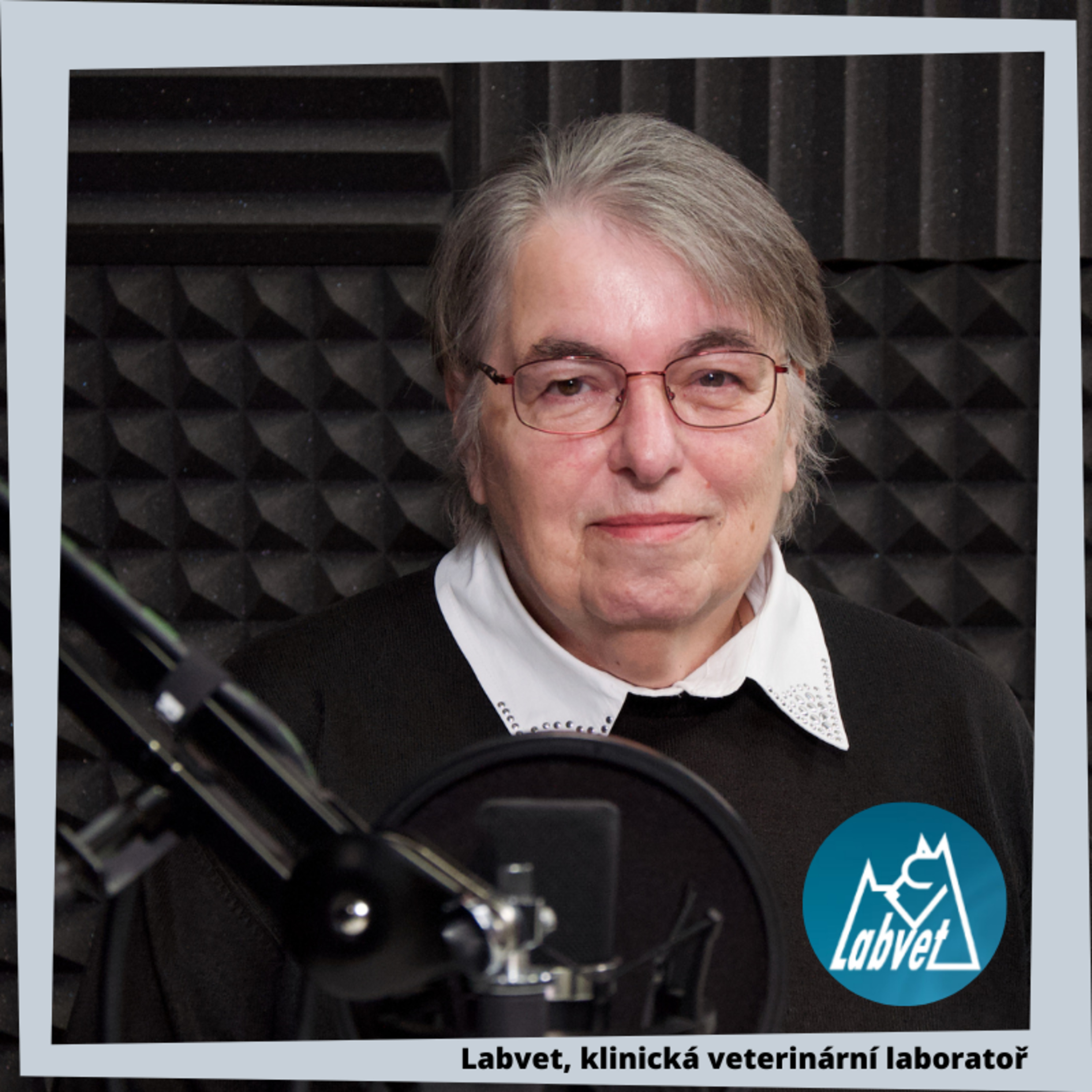 LABVET PODCAST, pro pejskaře a jejich psy, chovatelské stanice, kynologické kluby