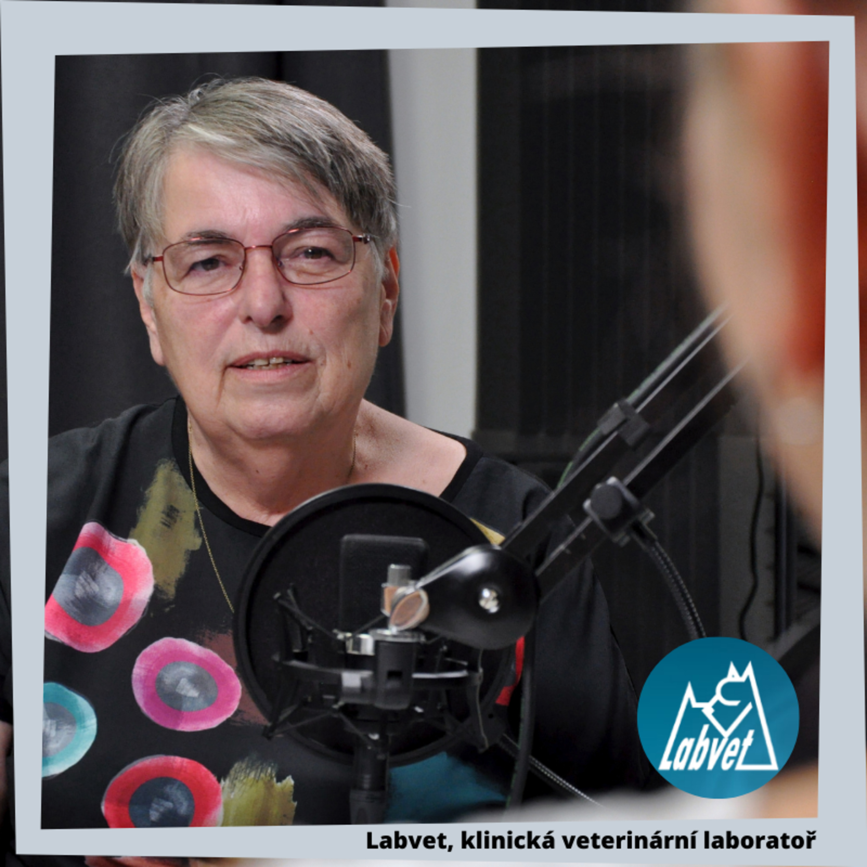 LABVET PODCAST, pro pejskaře a jejich psy, chovatelské stanice, kynologické kluby