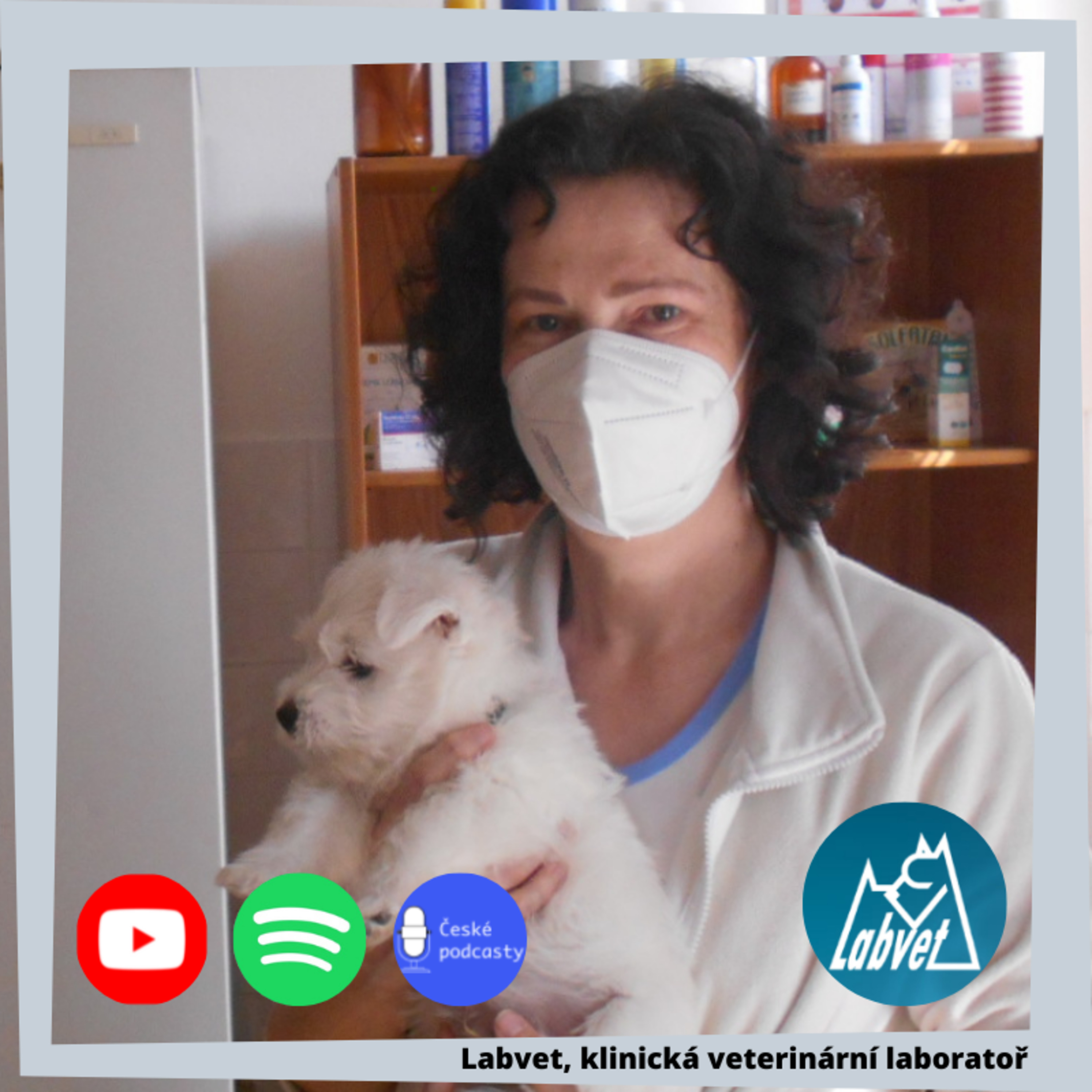LABVET PODCAST, pro pejskaře a jejich psy, chovatelské stanice, kynologické kluby