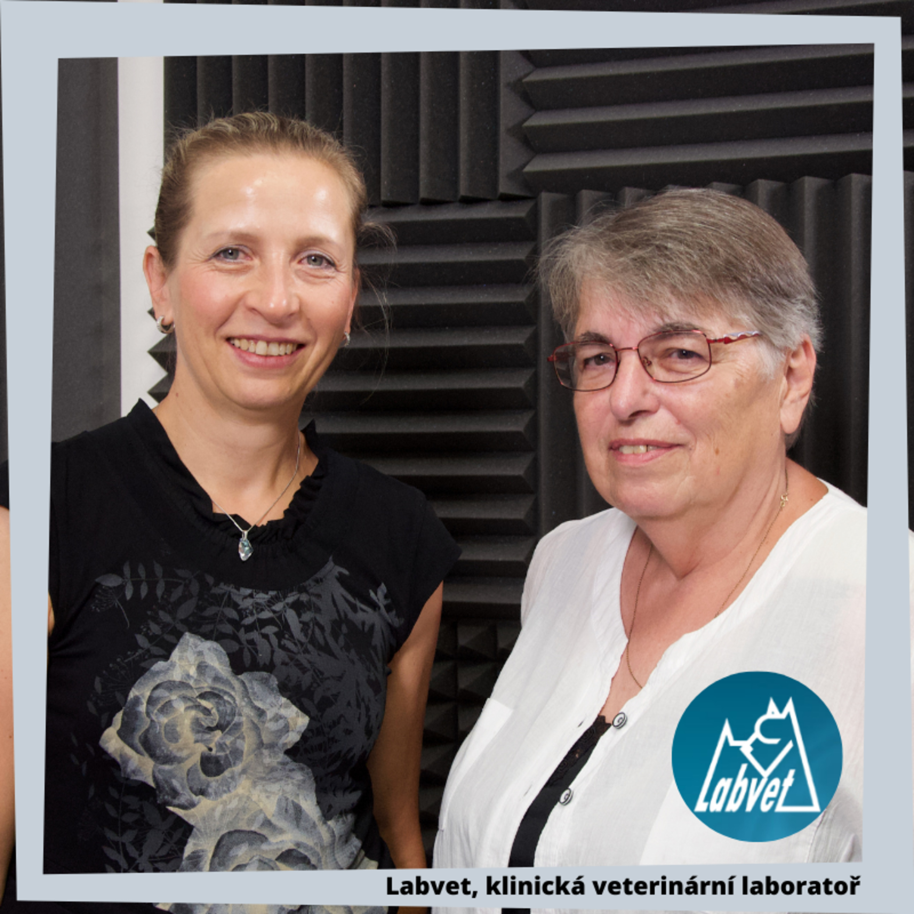 LABVET PODCAST, pro pejskaře a jejich psy, chovatelské stanice, kynologické kluby