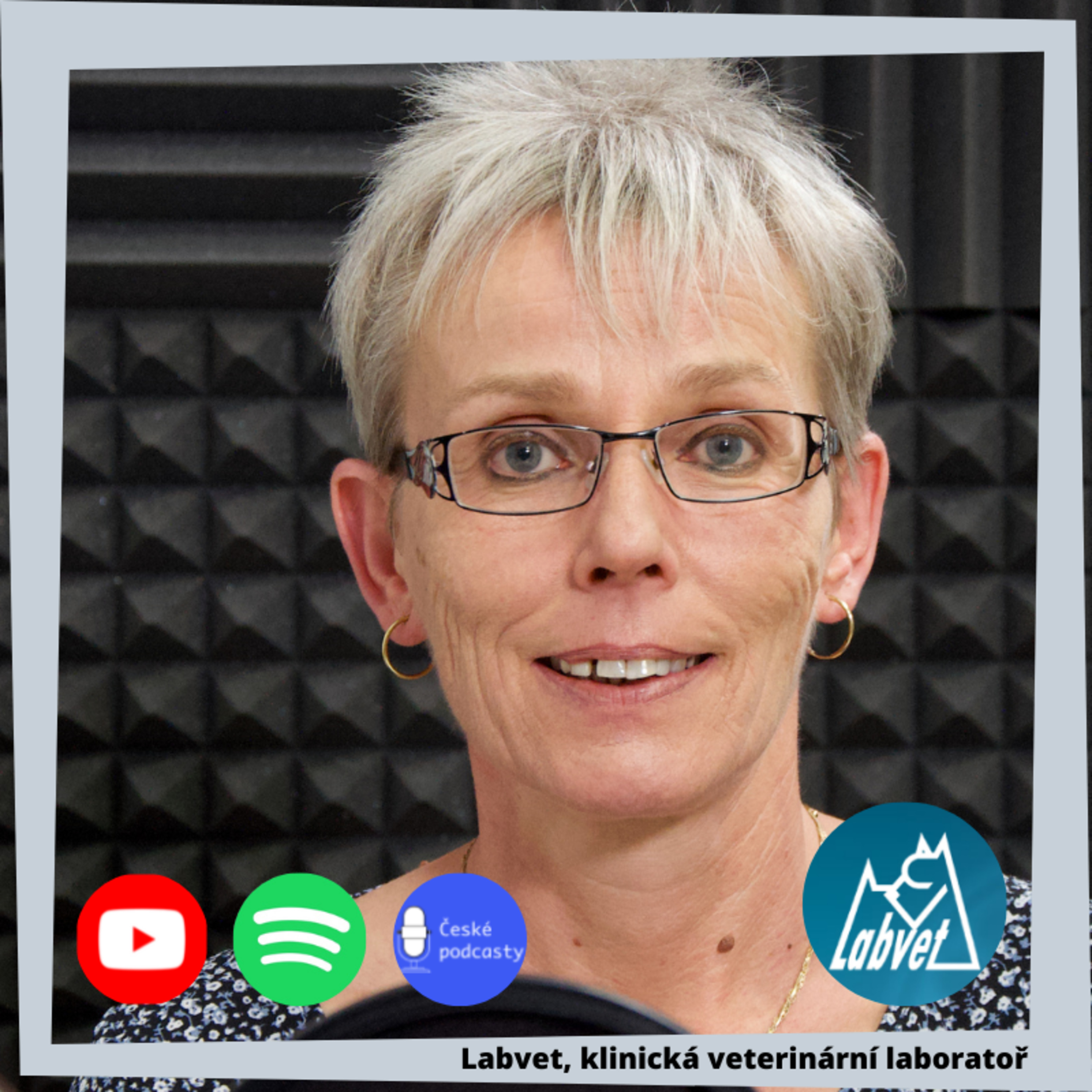 LABVET PODCAST, pro pejskaře a jejich psy, chovatelské stanice, kynologické kluby