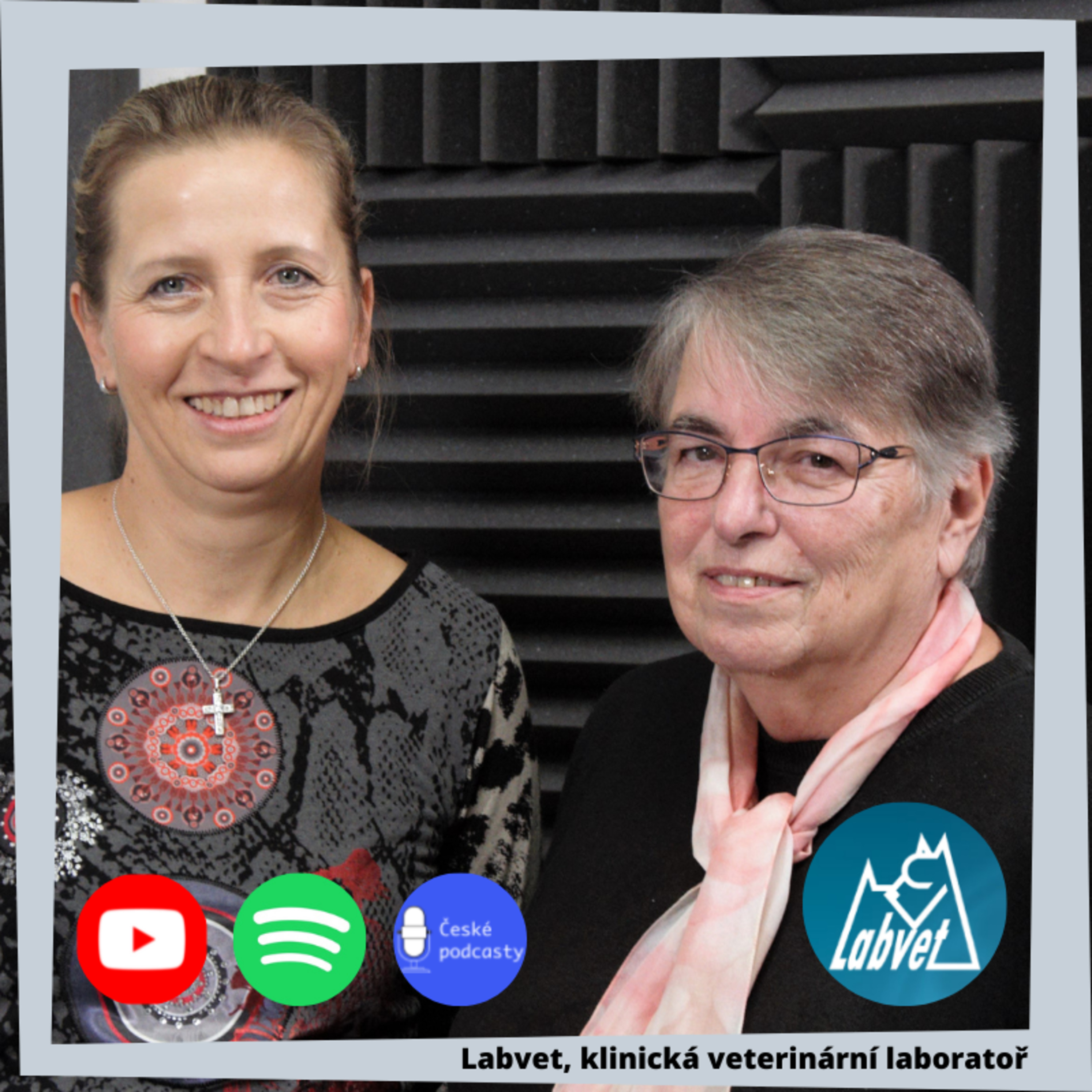LABVET PODCAST, pro pejskaře a jejich psy, chovatelské stanice, kynologické kluby