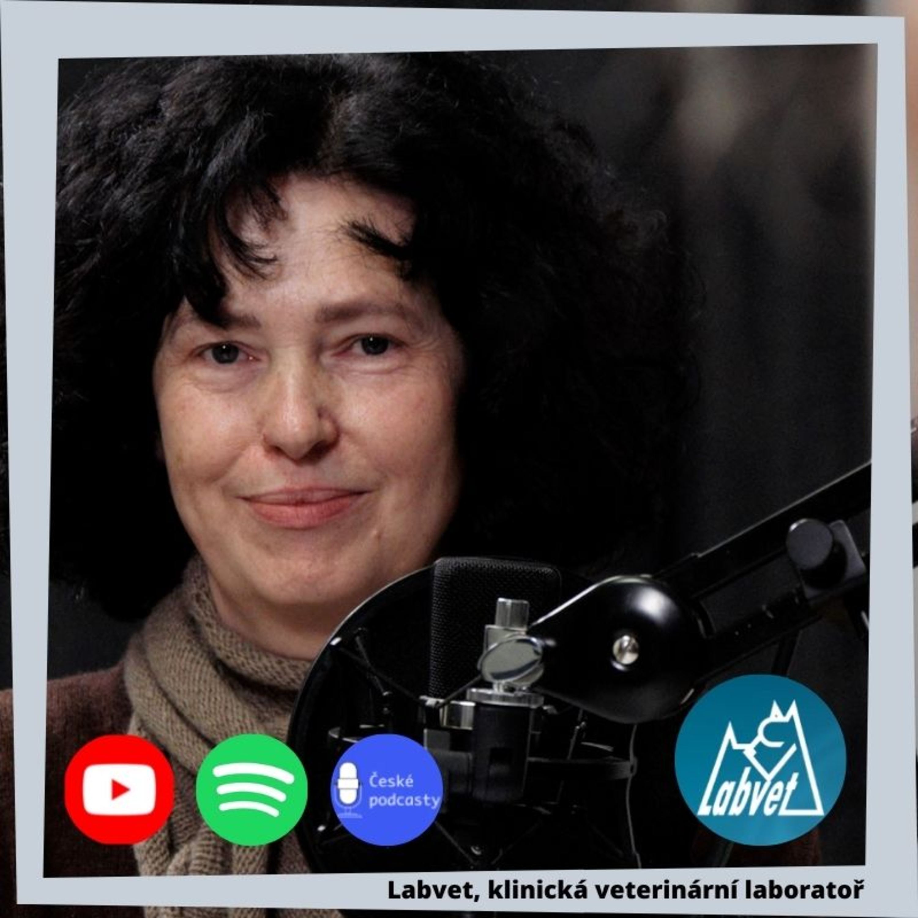 LABVET PODCAST, pro pejskaře a jejich psy, chovatelské stanice, kynologické kluby