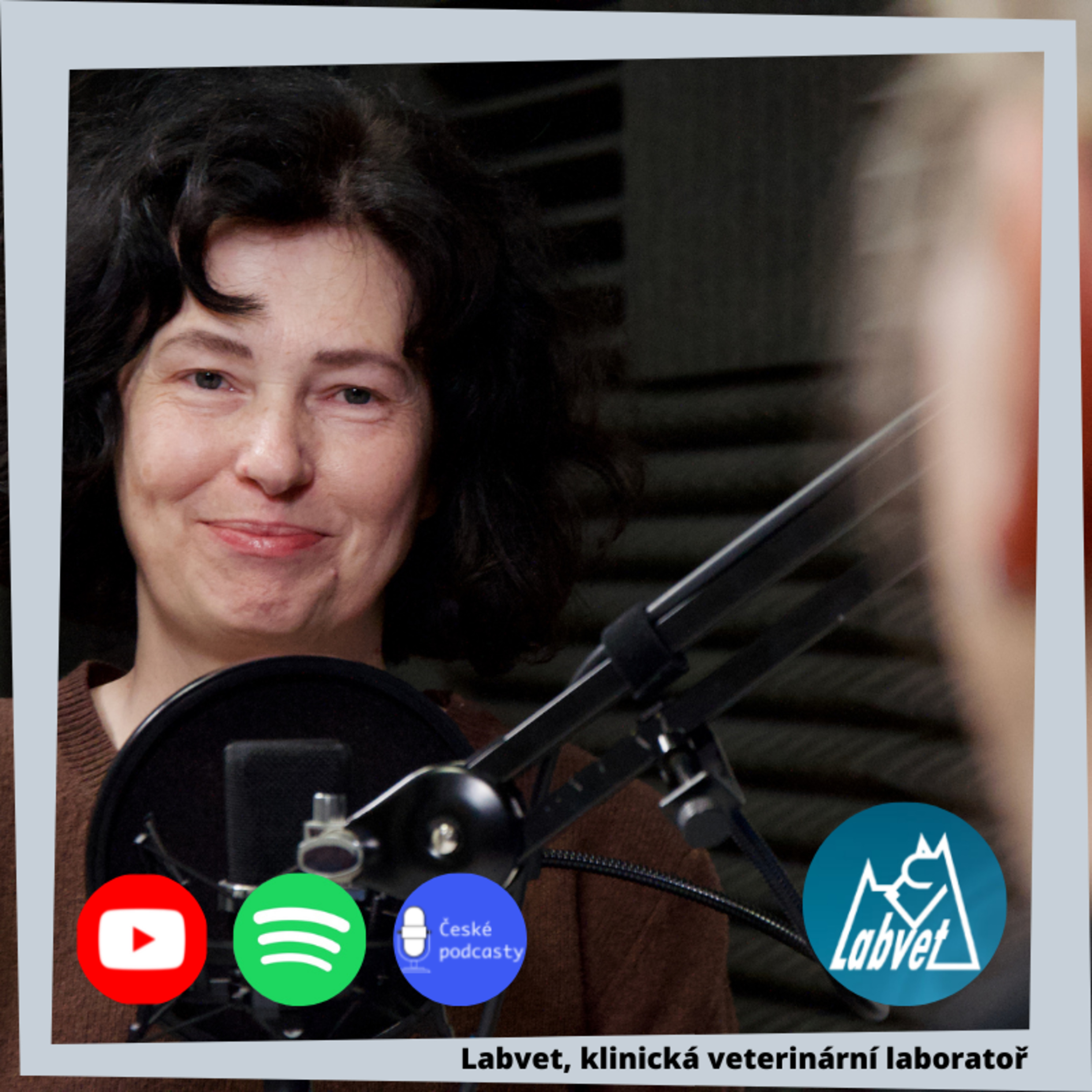 LABVET PODCAST, pro pejskaře a jejich psy, chovatelské stanice, kynologické kluby