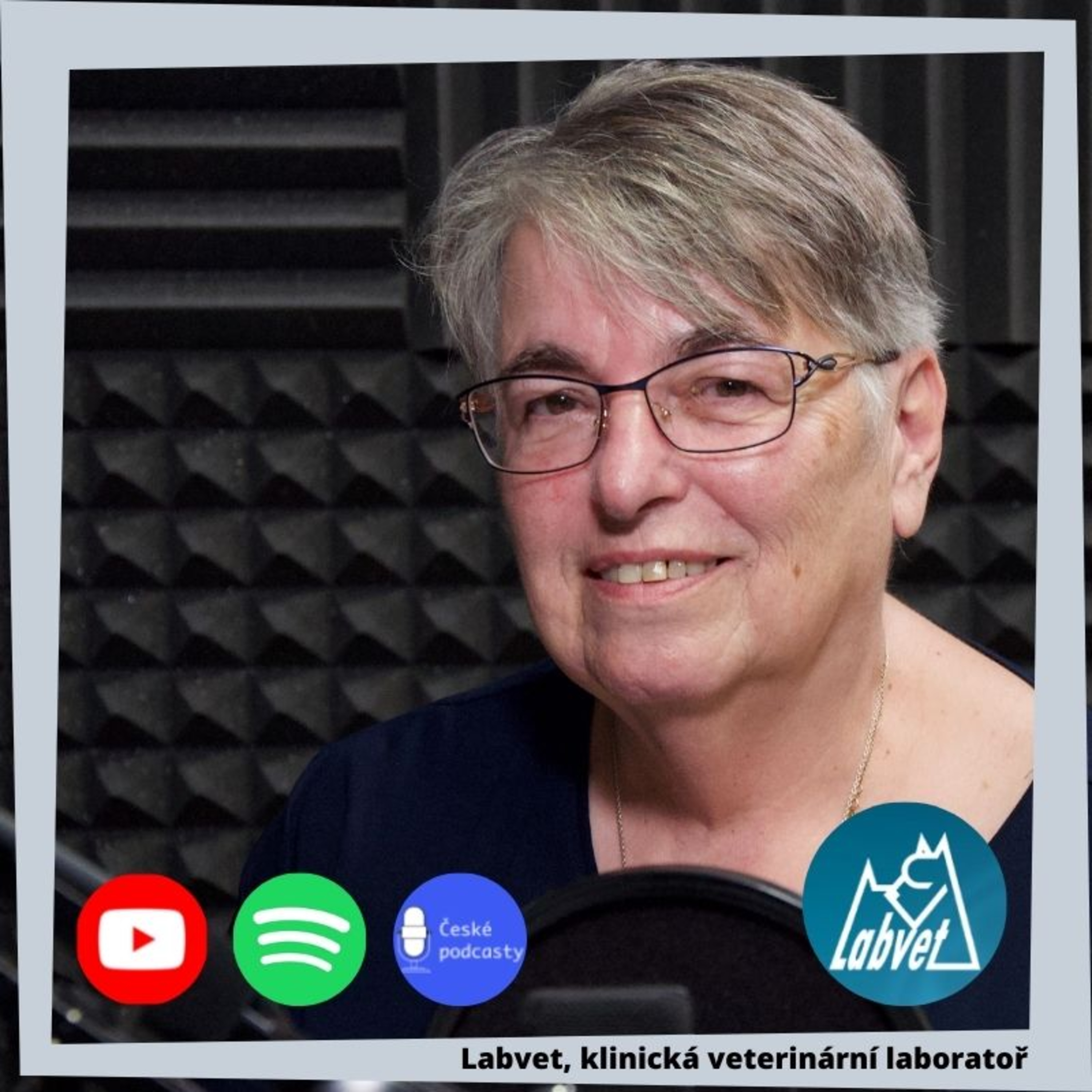 LABVET PODCAST, pro pejskaře a jejich psy, chovatelské stanice, kynologické kluby
