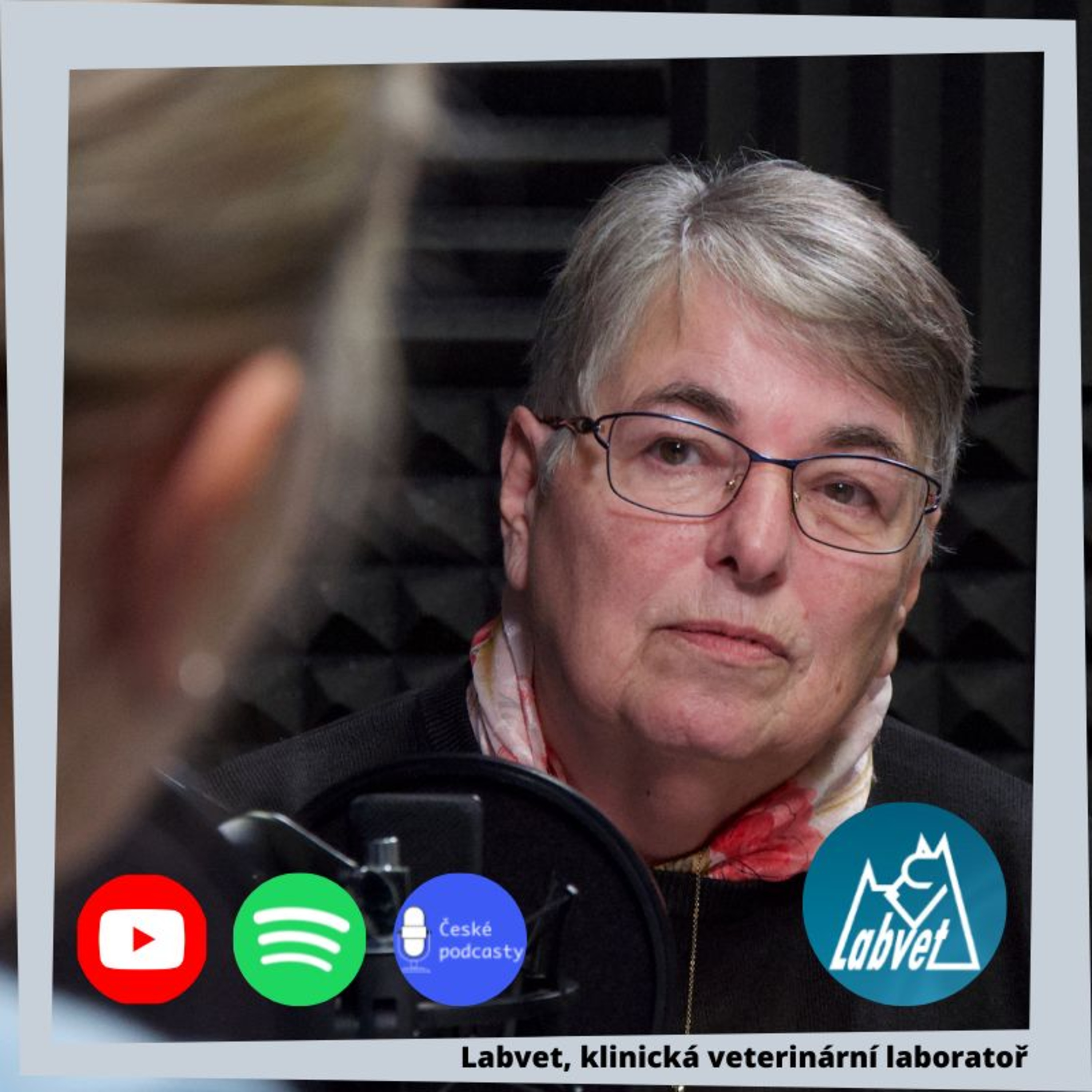 LABVET PODCAST, pro pejskaře a jejich psy, chovatelské stanice, kynologické kluby