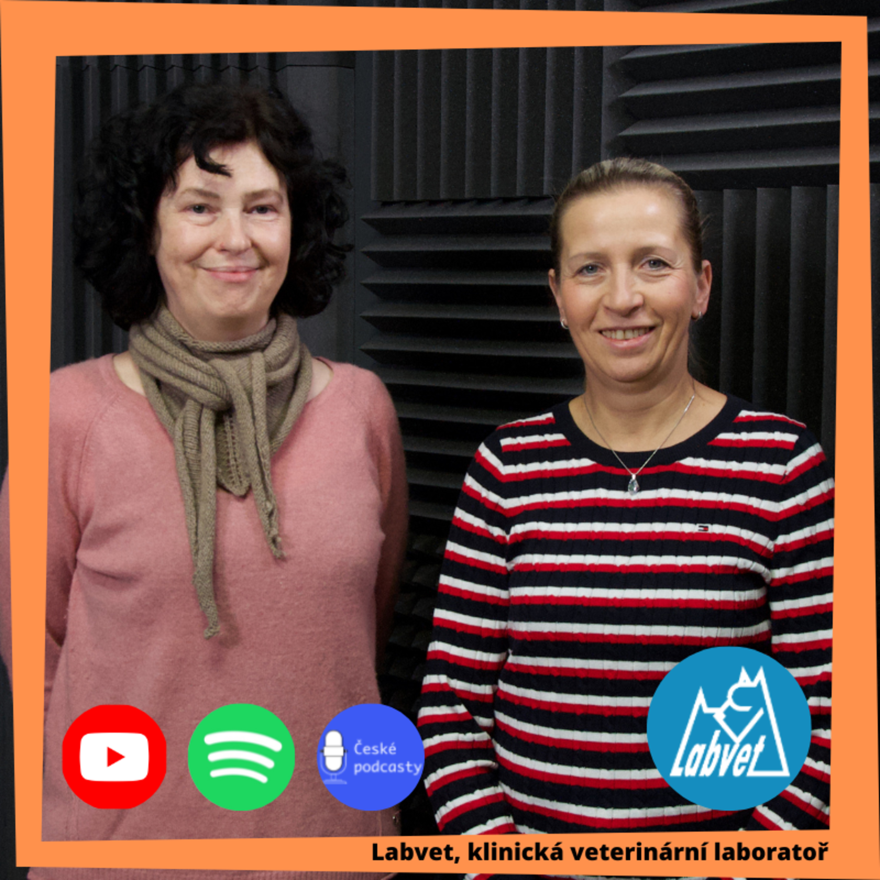 LABVET PODCAST, pro pejskaře a jejich psy, chovatelské stanice, kynologické kluby