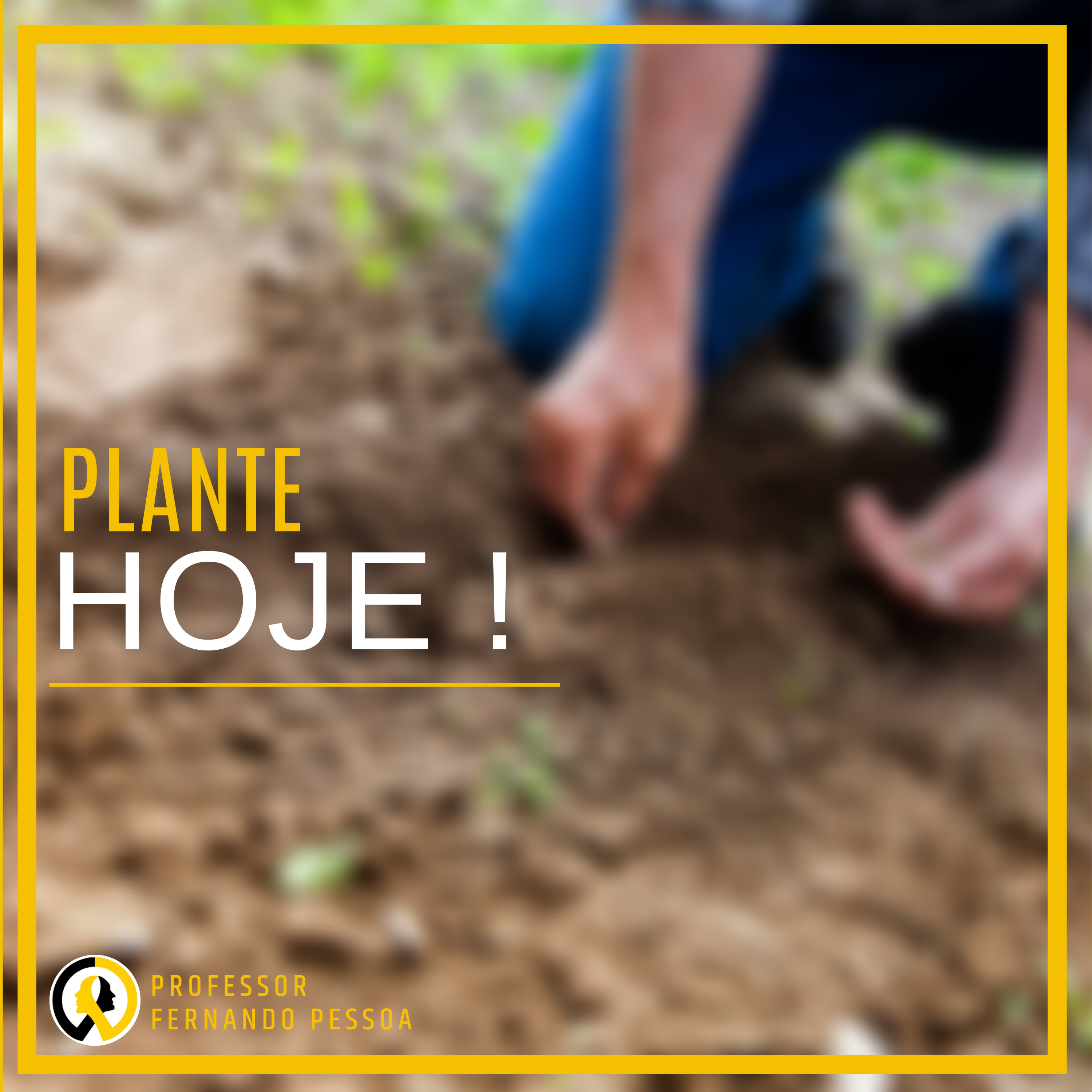 Lei da Semeadura - Plantemos hoje, para colher no amanhã.  episode artwork