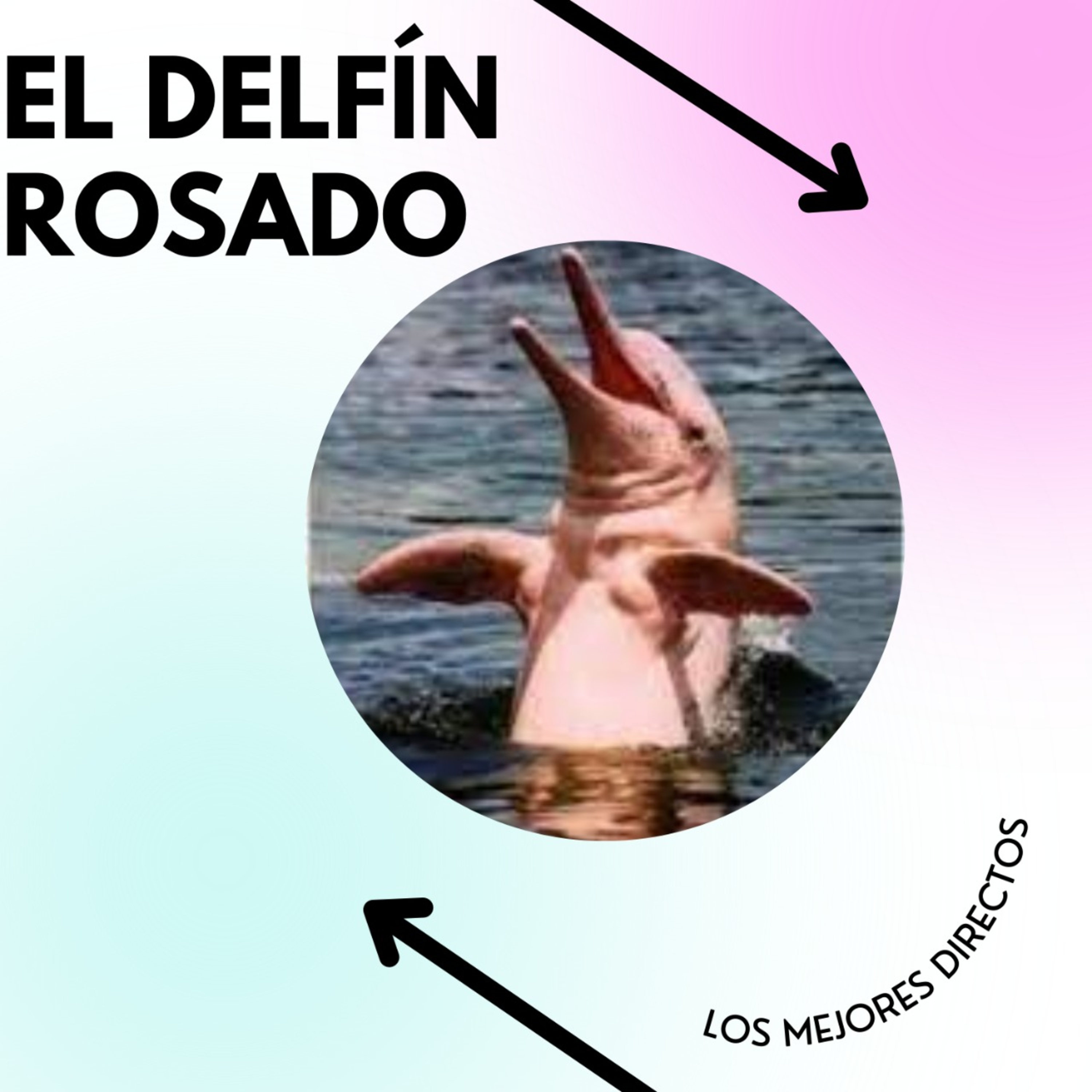 Conocimiento de la Naturaleza En contacto con la misma