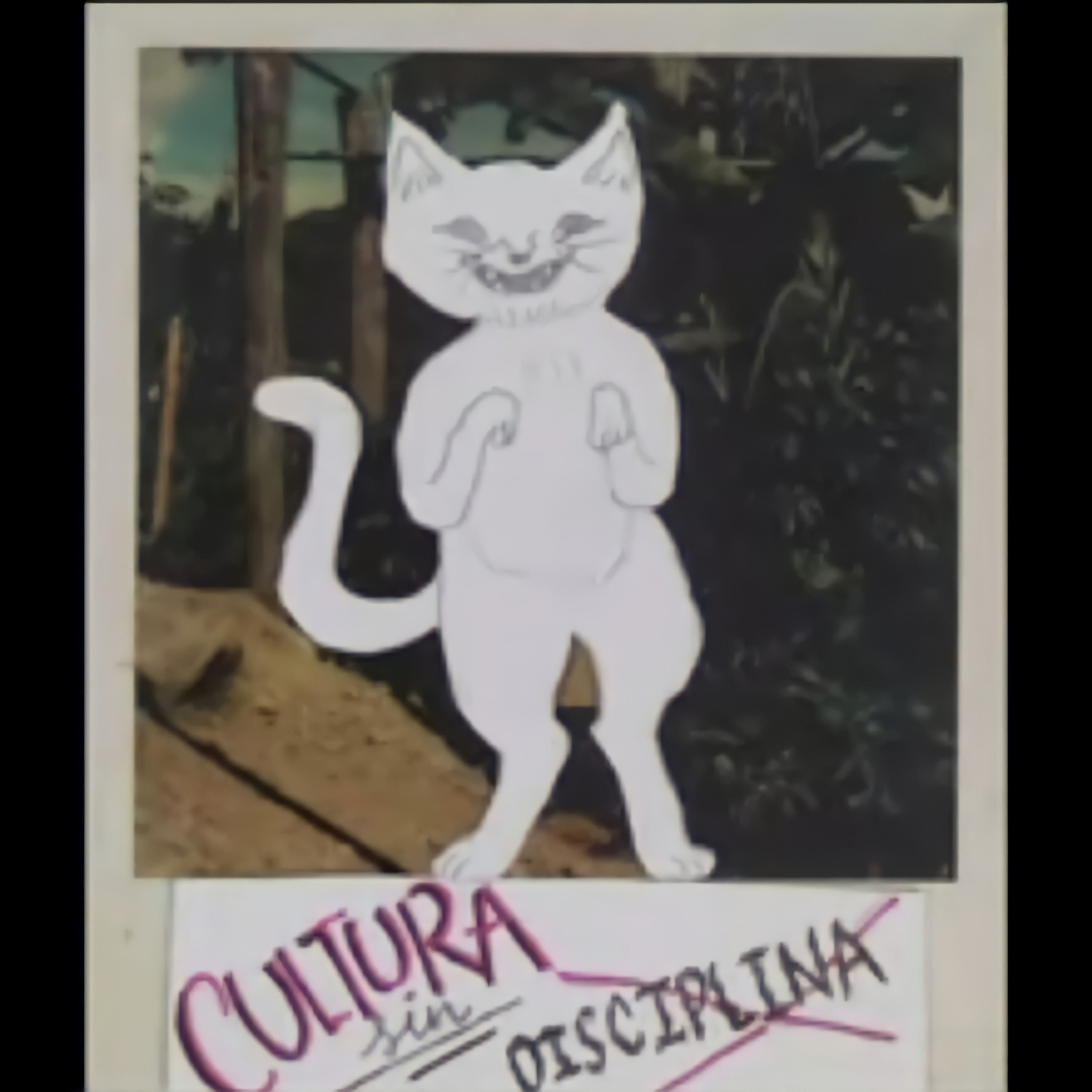 Cultura sin disciplina