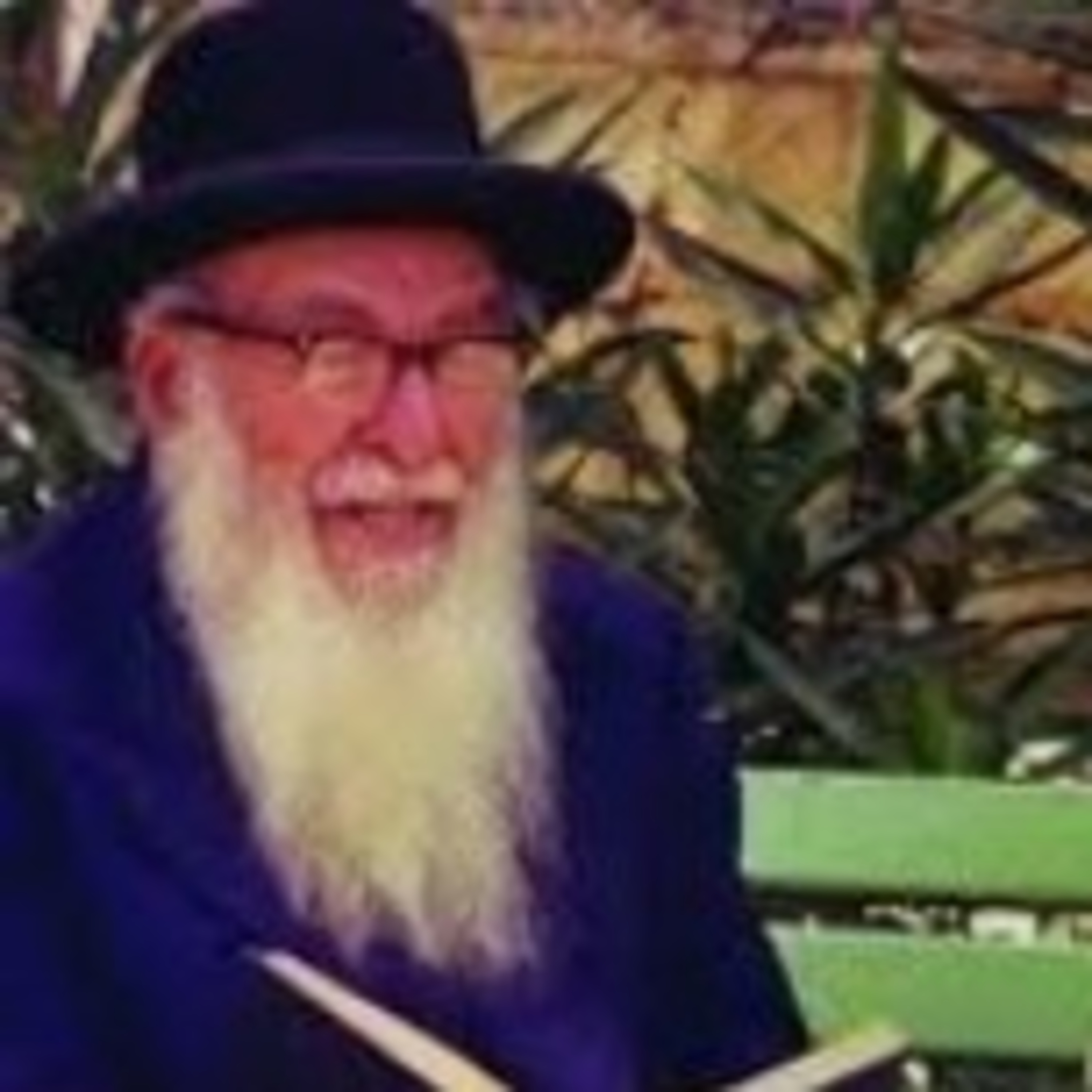 Moshe yehudah Goldstein life stories  episode artwork