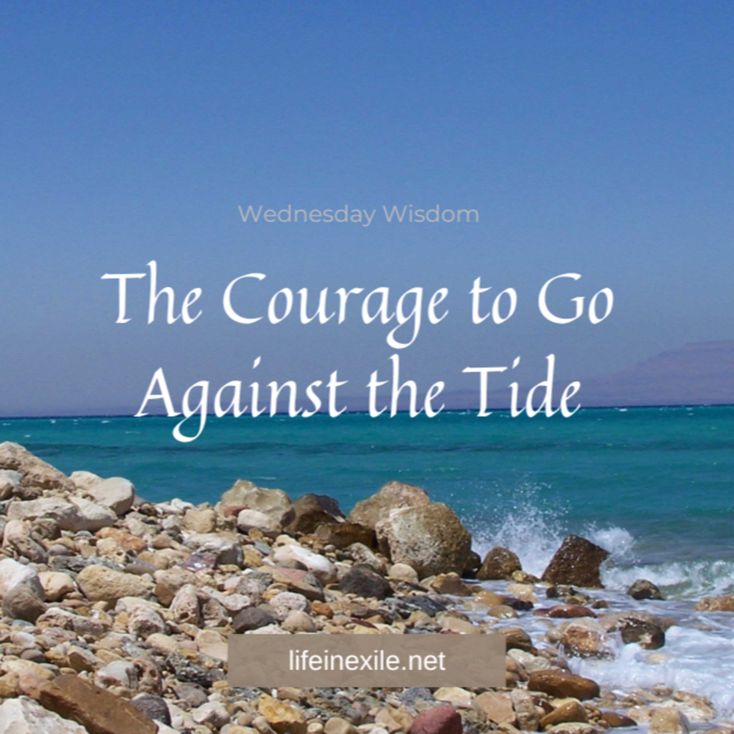 The Courage to Go Against the Tide episode artwork