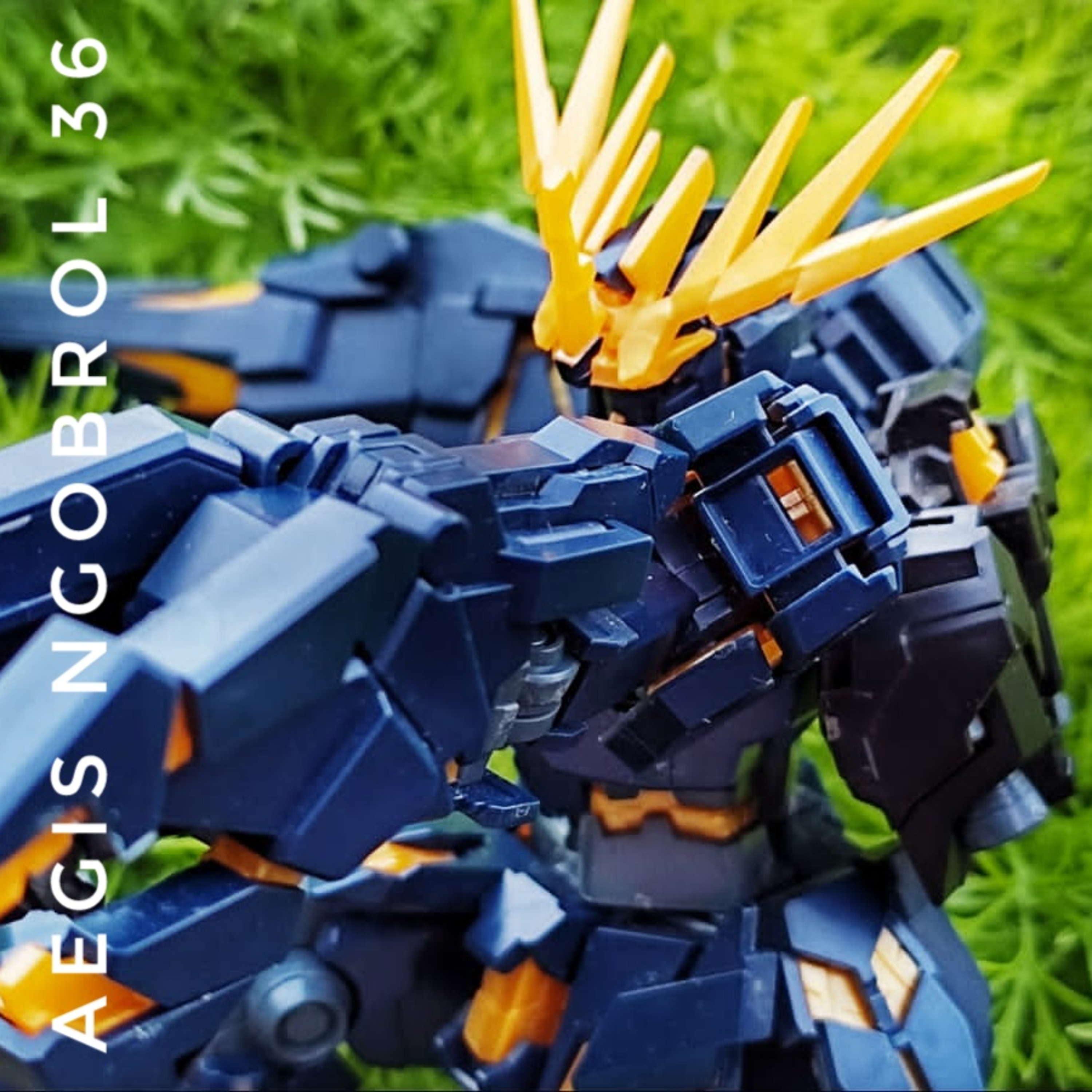 AEGIS NGOBROL