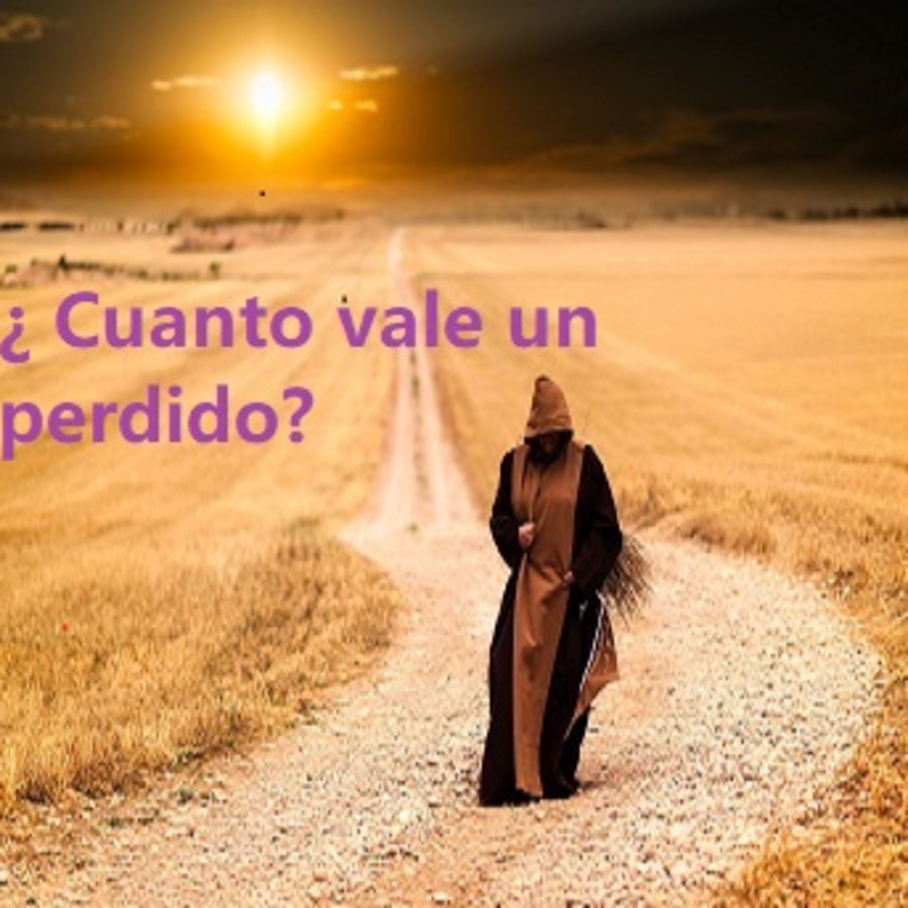 ¿ Cuanto vale un perdido ? episode artwork