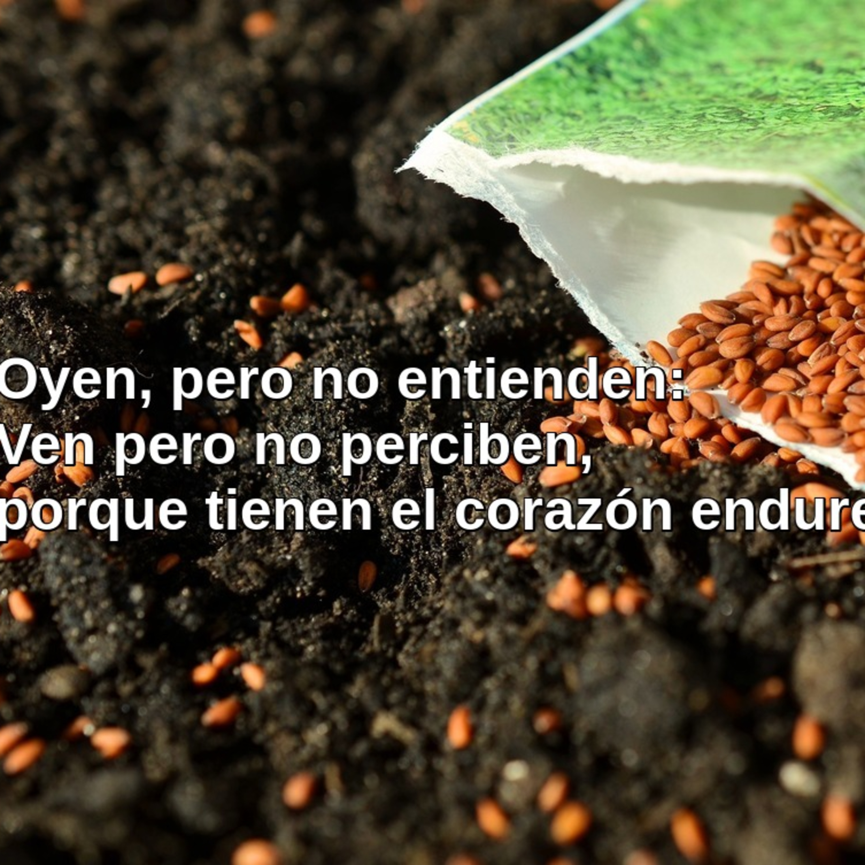 VIDEO - ENTENDER LAS COSAS DEL REINO DE LOS CIELOS  episode artwork