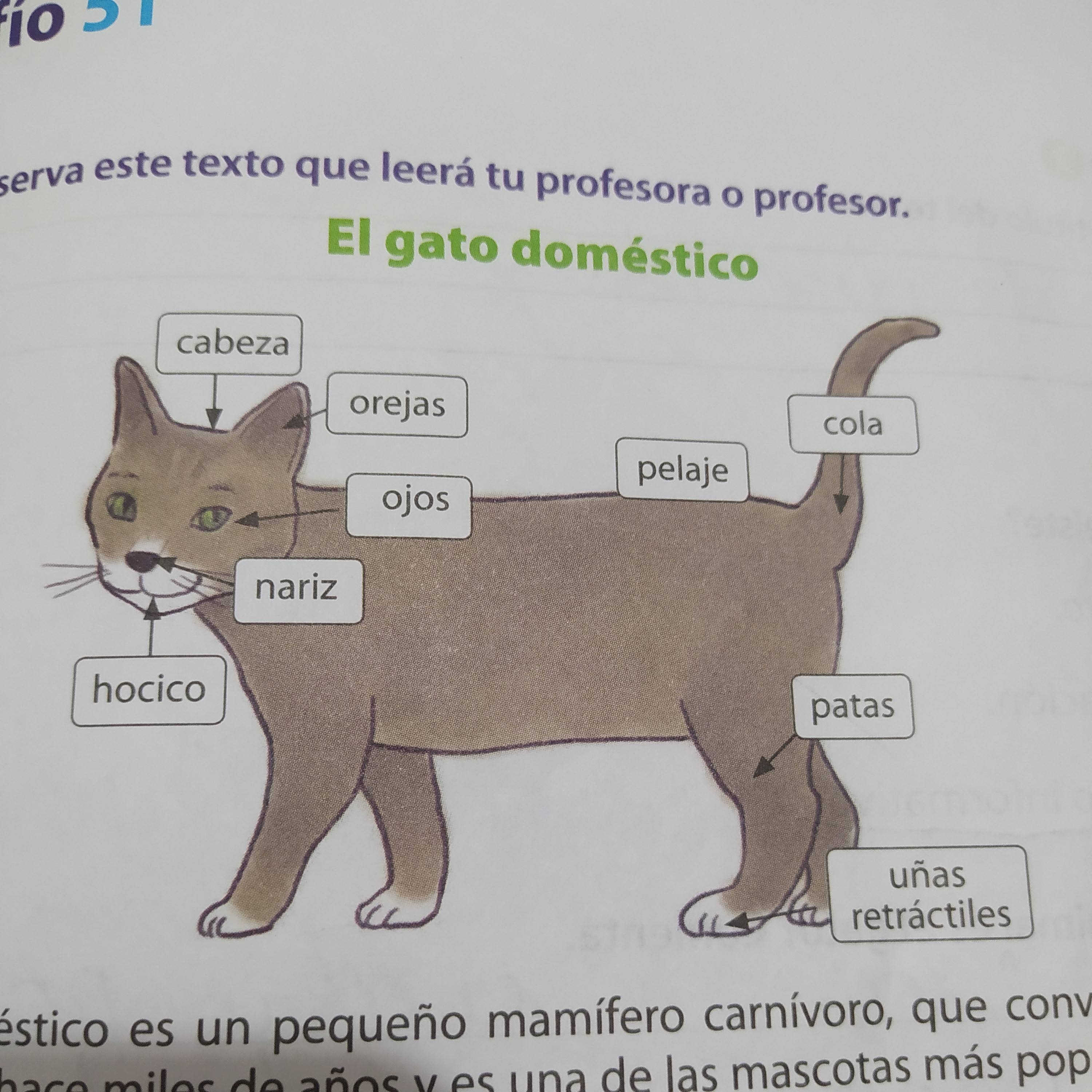 La Piel Del Cocodrilo - Emanuel Garcia 2C