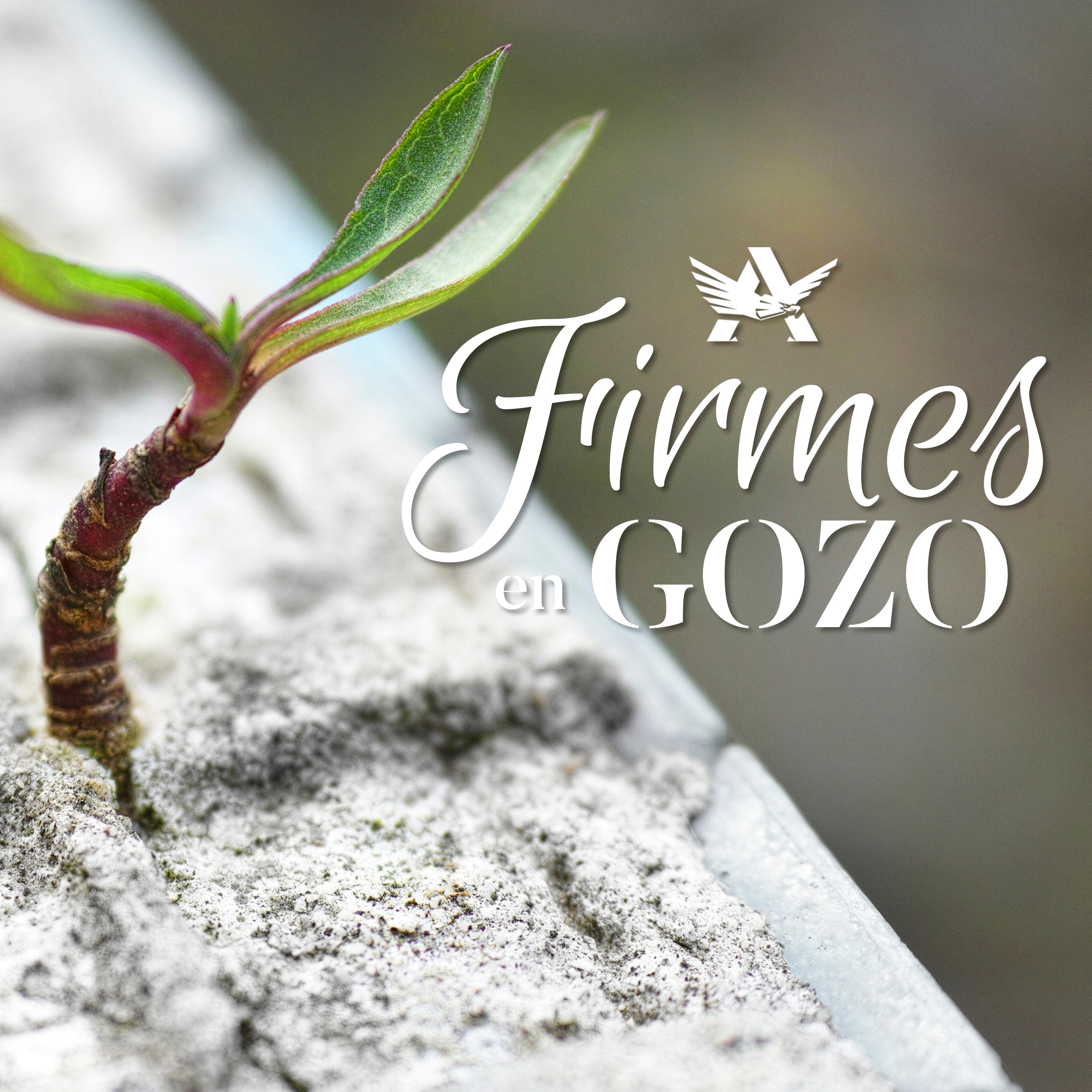Firmes en gozo - Roy Urrieta episode artwork