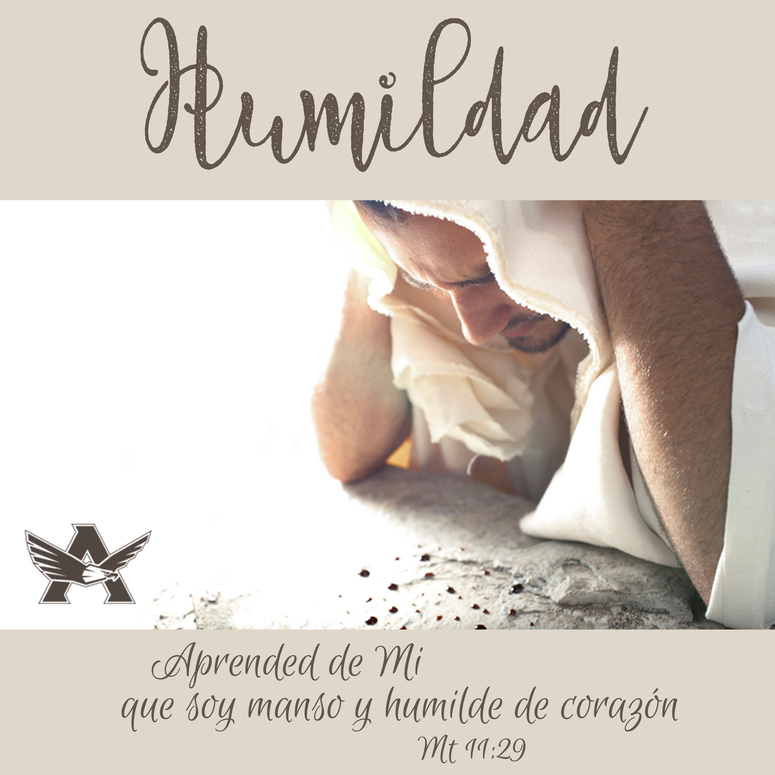 Jóvenes Adultos CO