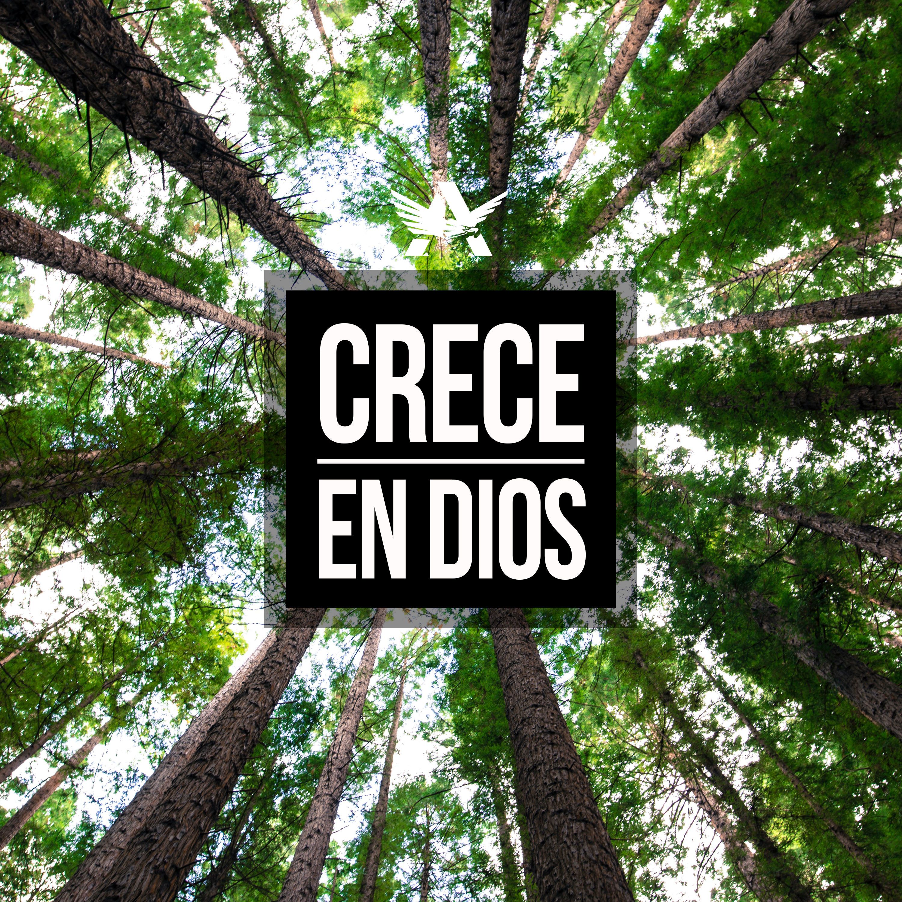 Jóvenes Adultos CO