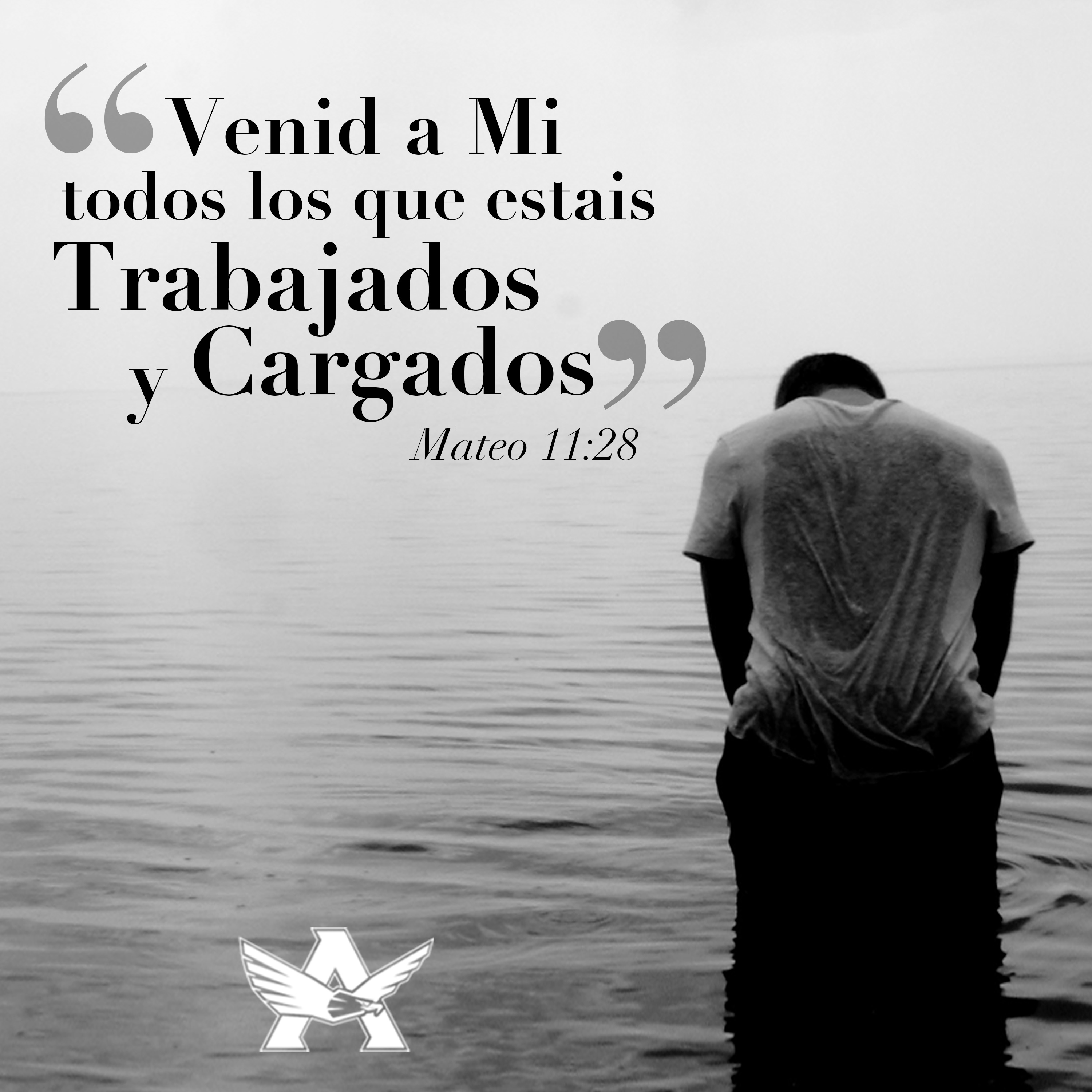 Jóvenes Adultos CO