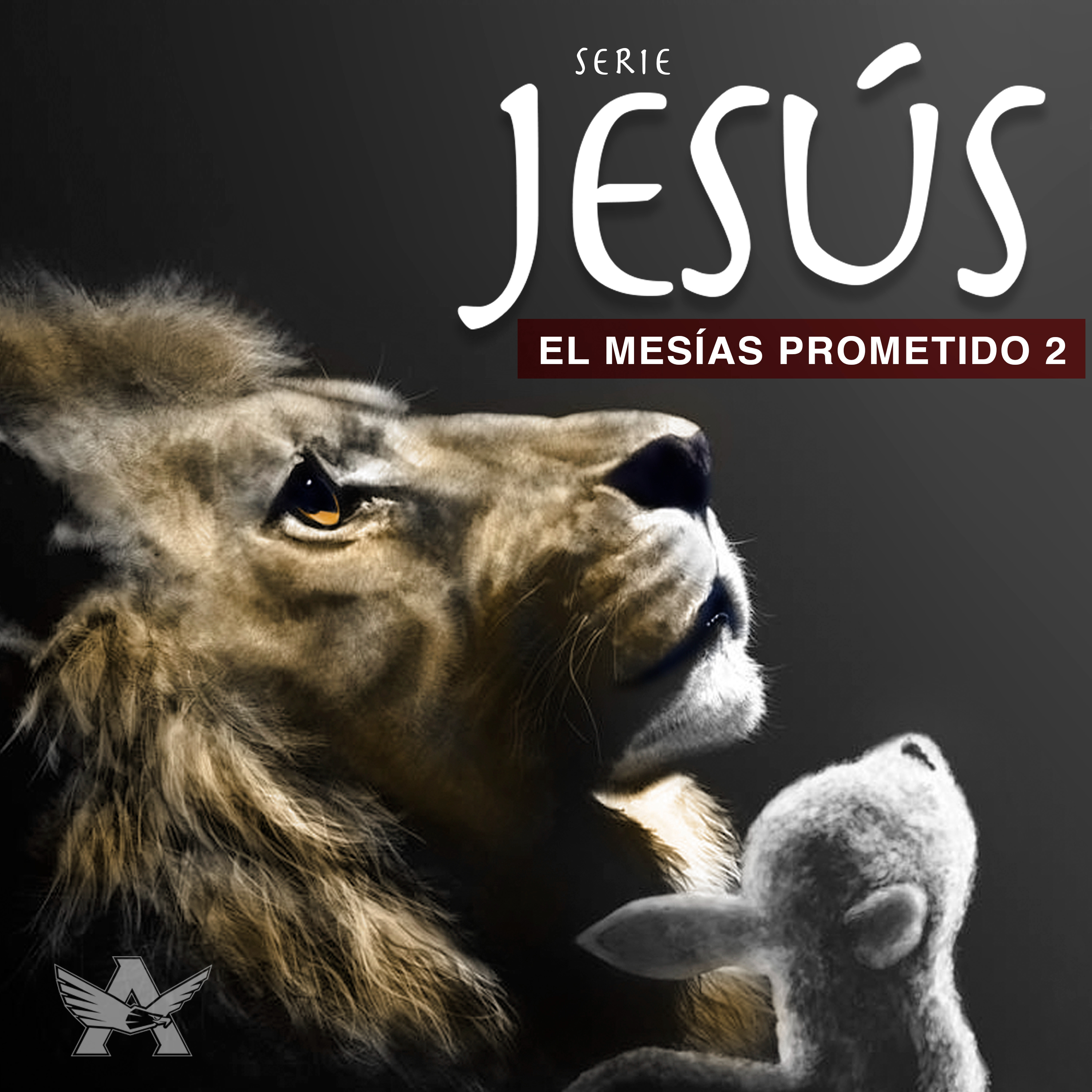 Jóvenes Adultos CO