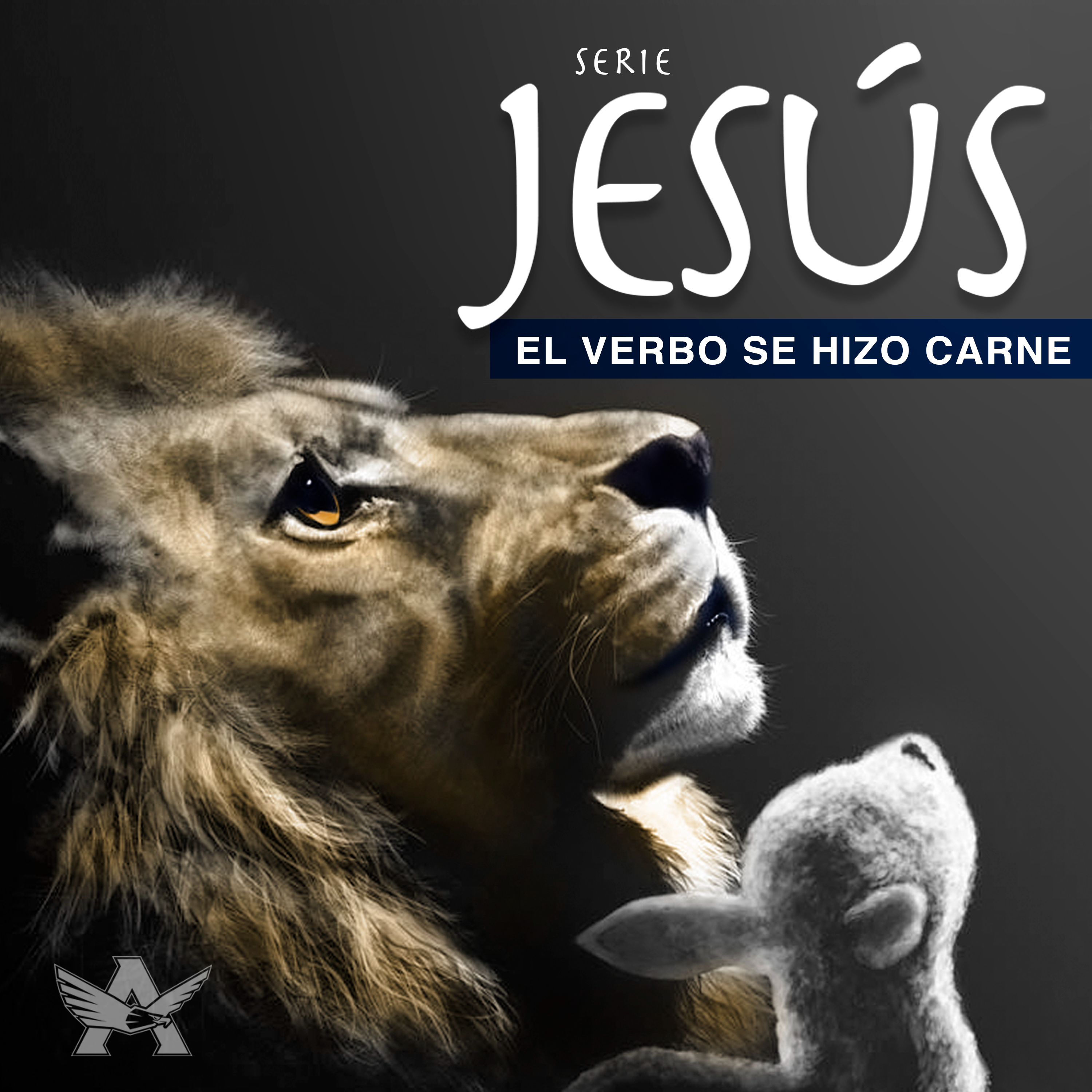 Jóvenes Adultos CO
