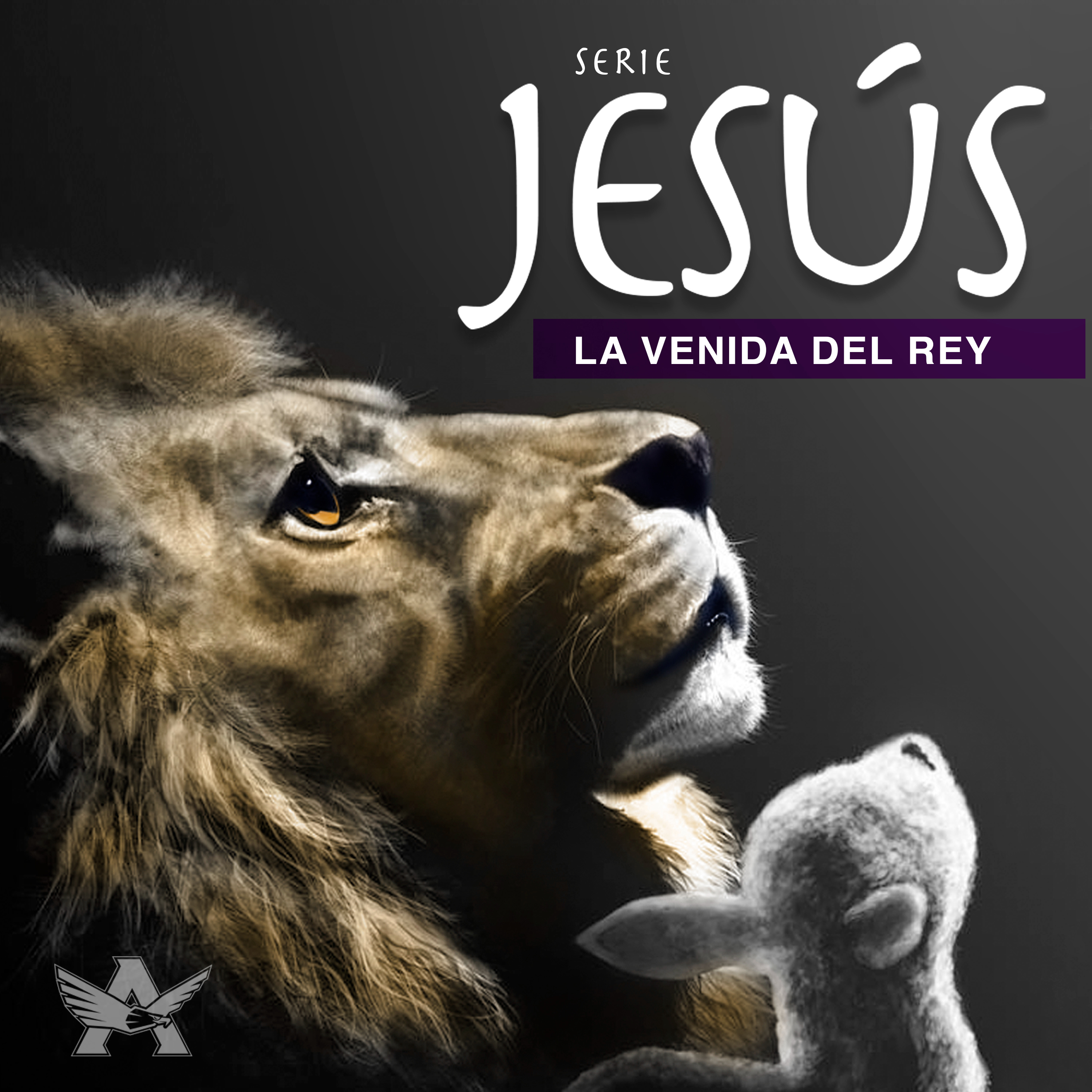 Jóvenes Adultos CO