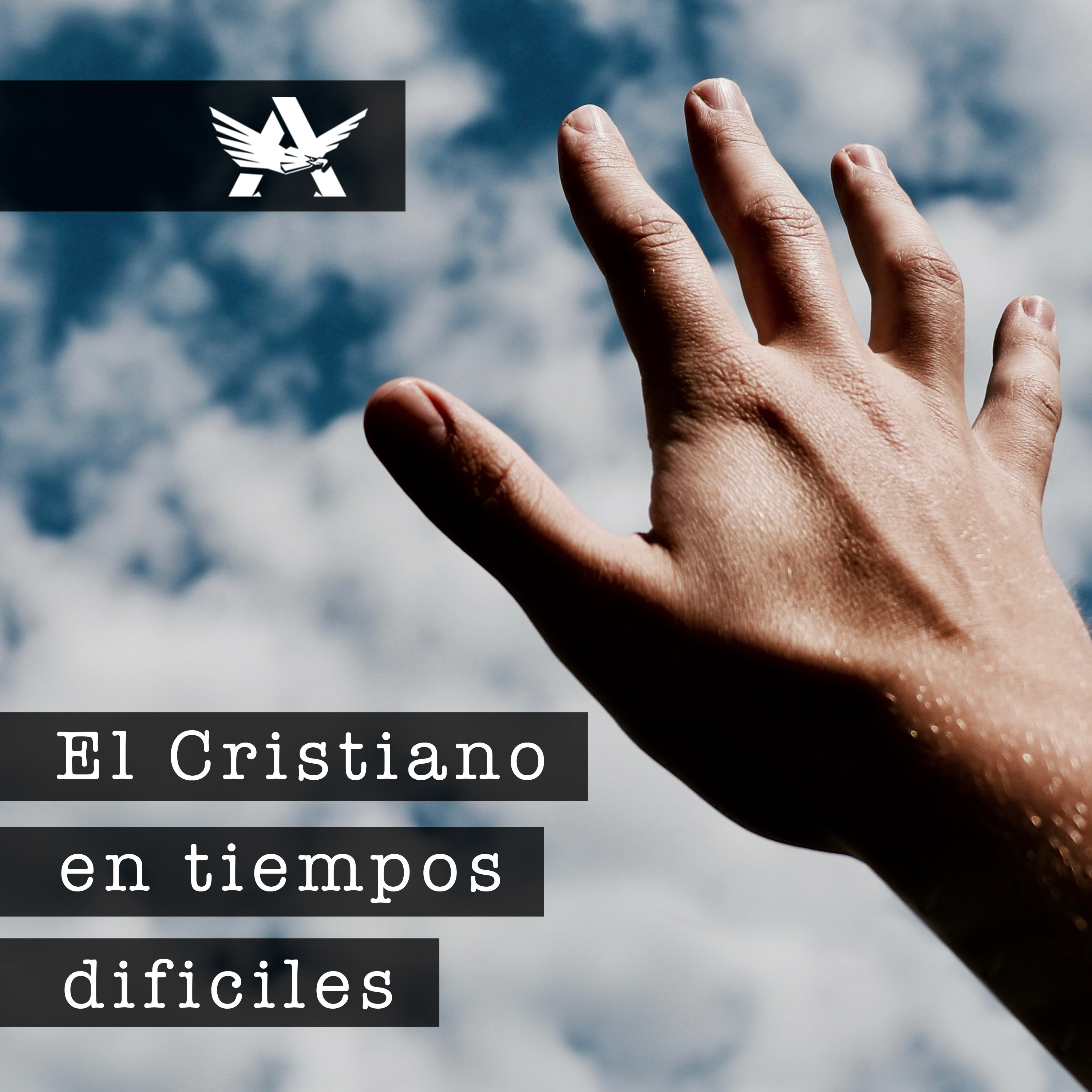 Jóvenes Adultos CO