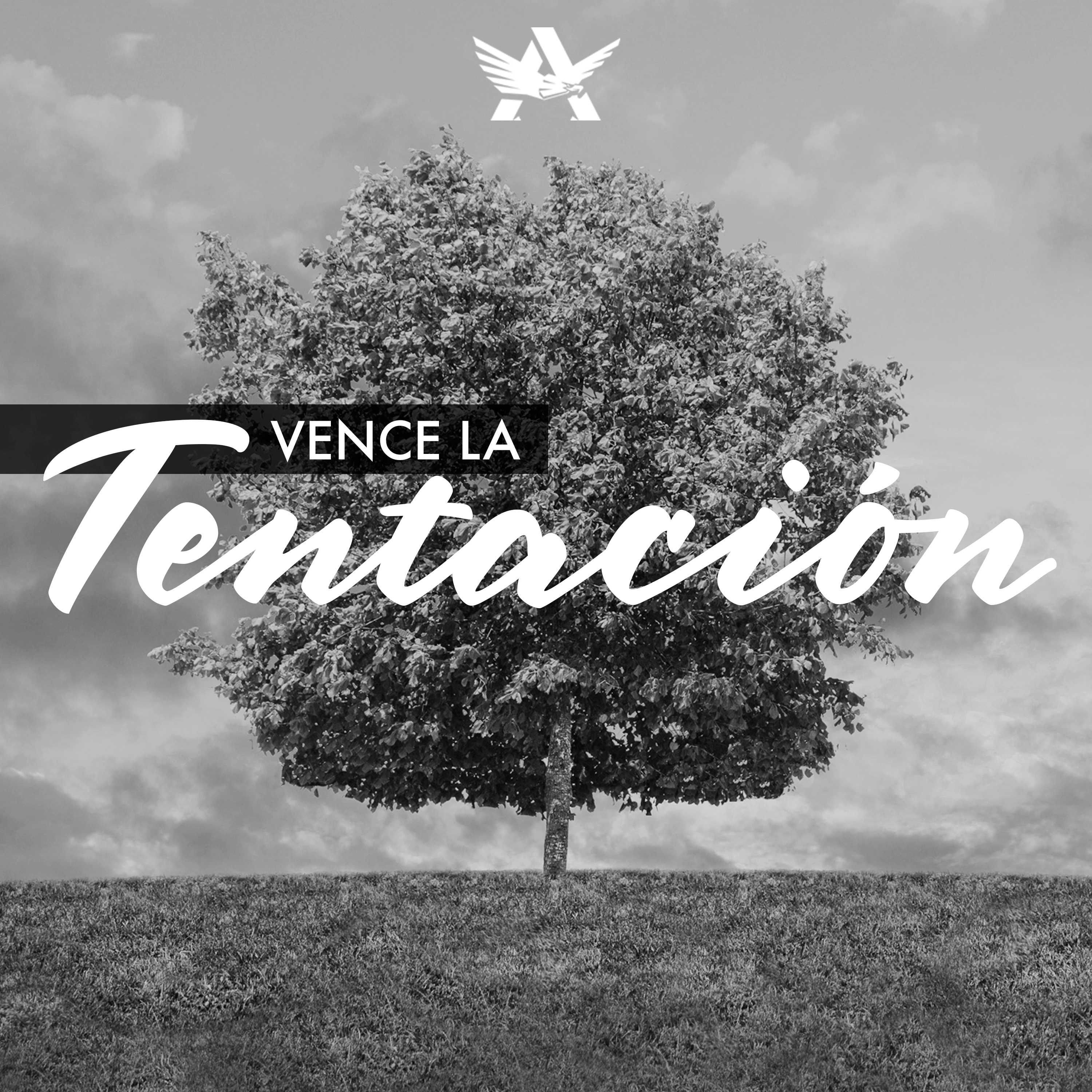 Jóvenes Adultos CO