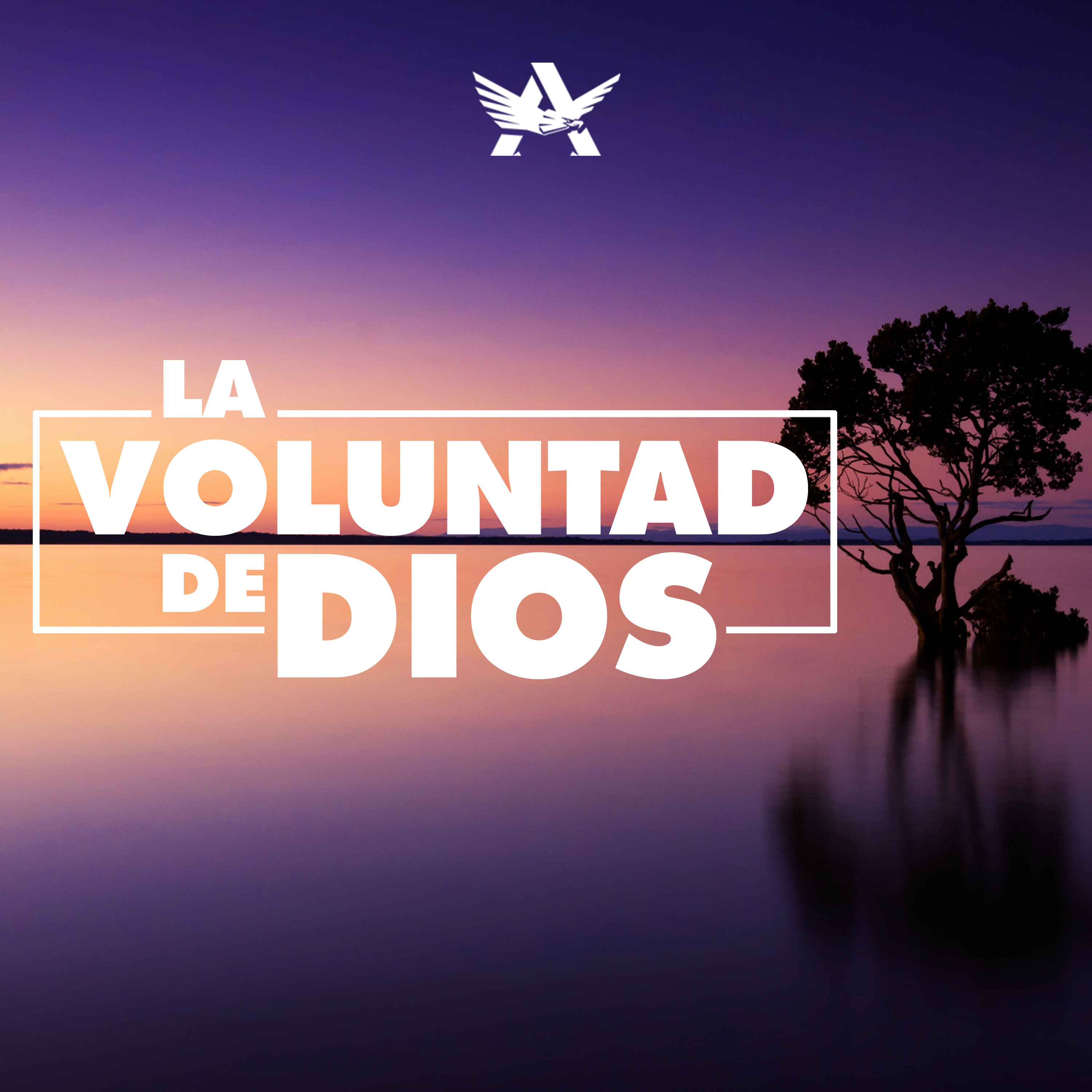Jóvenes Adultos CO