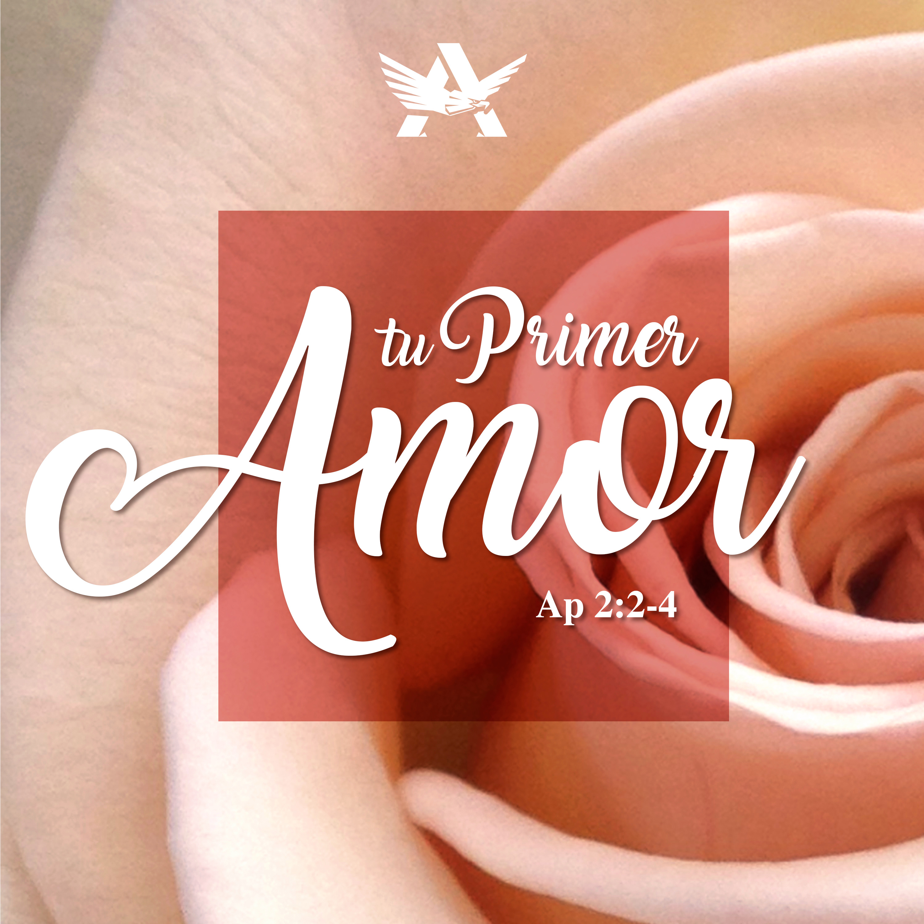 Tu primer Amor - Roy Urrieta 